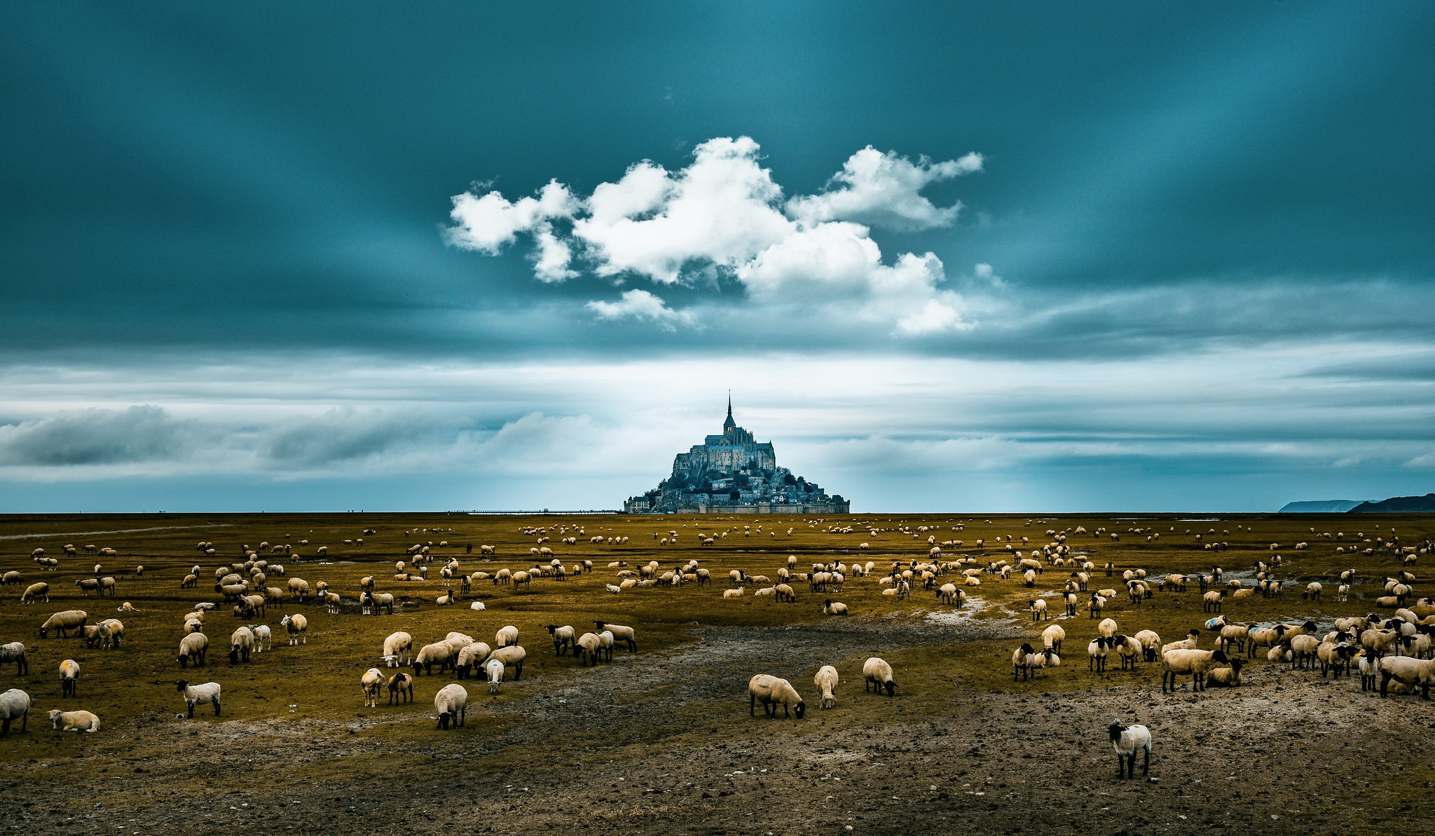 Download mobile wallpaper Landscape, Sky, France, Sheep, Mont Saint Michel, Religious for free.