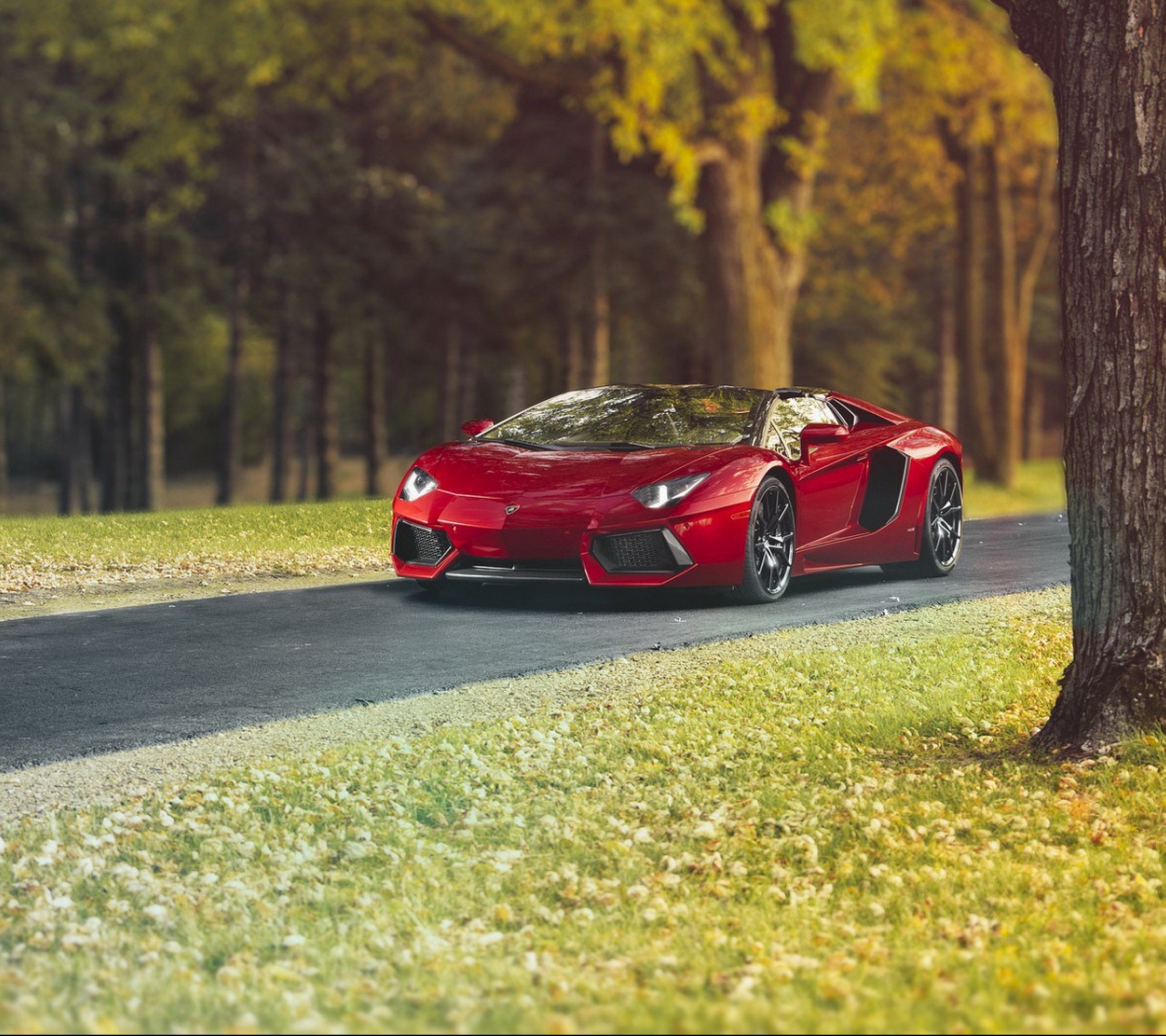 Téléchargez des papiers peints mobile Lamborghini, Lamborghini Aventador, Véhicules gratuitement.