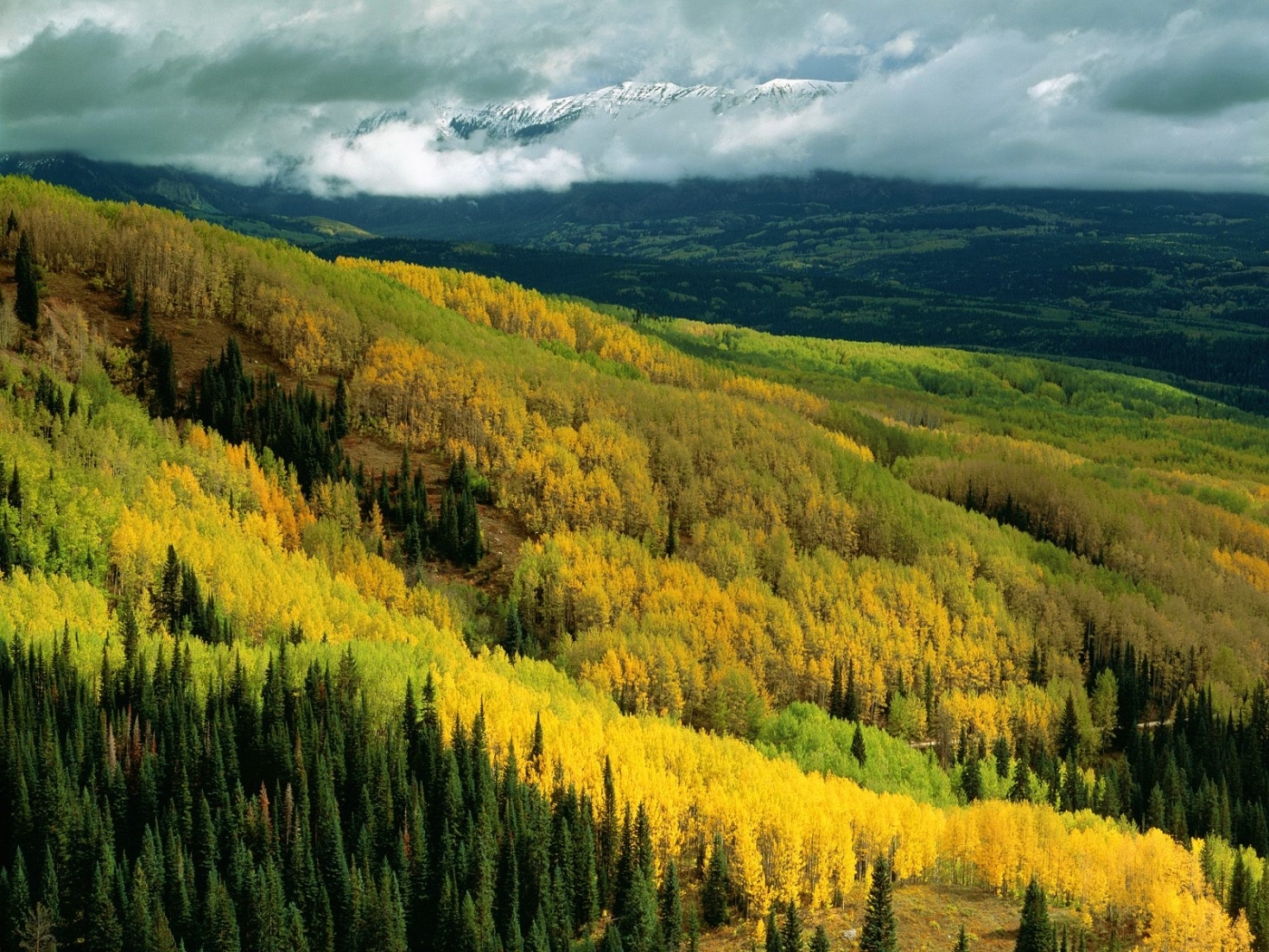 Baixe gratuitamente a imagem Árvores, Montanhas, Outono, Nuvens, Paisagem na área de trabalho do seu PC