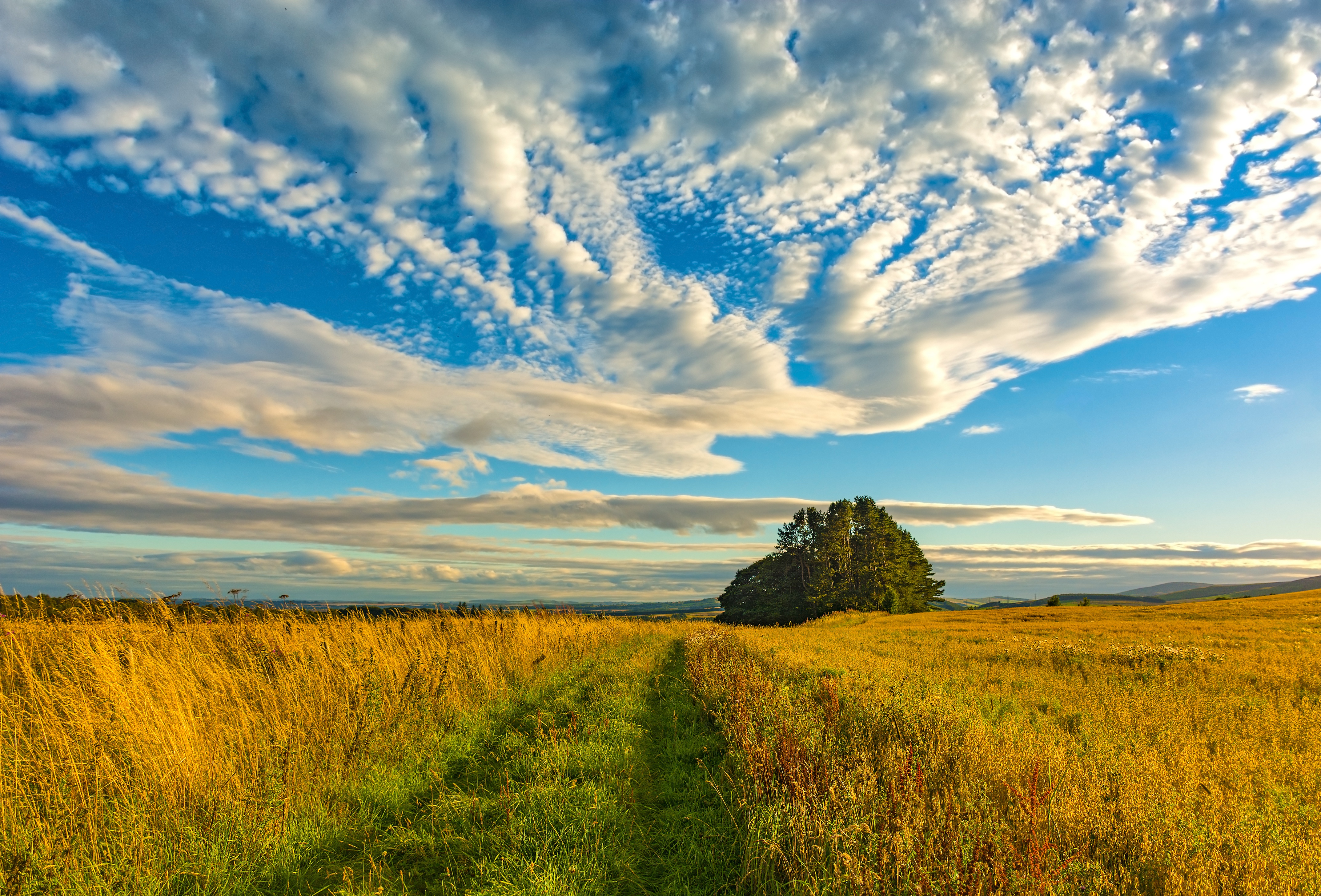 Download mobile wallpaper Landscape, Nature, Grass, Sky, Horizon, Earth, Field, Cloud for free.