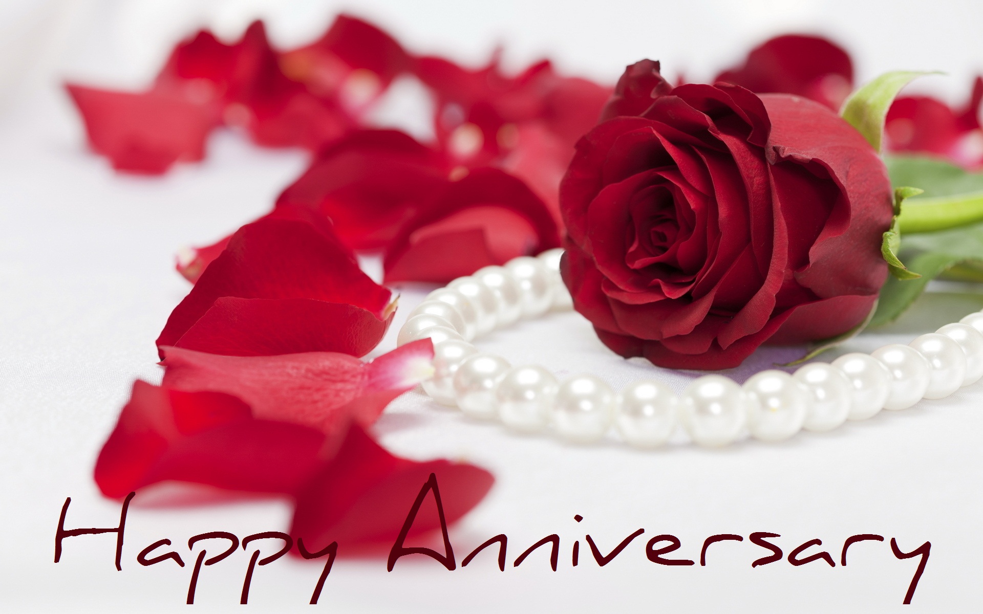 Download mobile wallpaper Rose, Holiday, Pearl, Petal, Necklace, Anniversary for free.