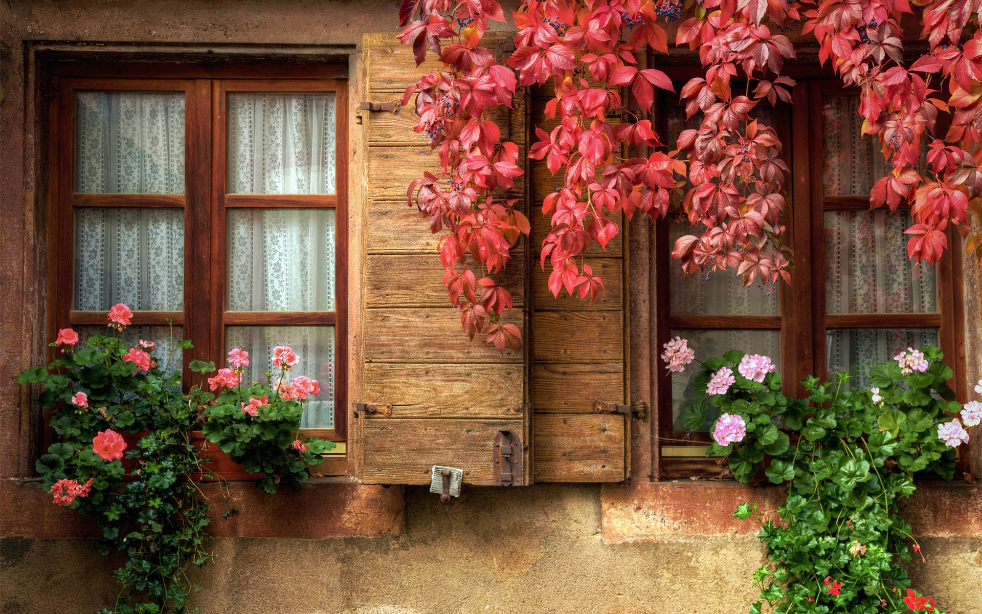 868454 скачать обои осень, сделано человеком, окно, штора, цветок, плющ, листва - заставки и картинки бесплатно