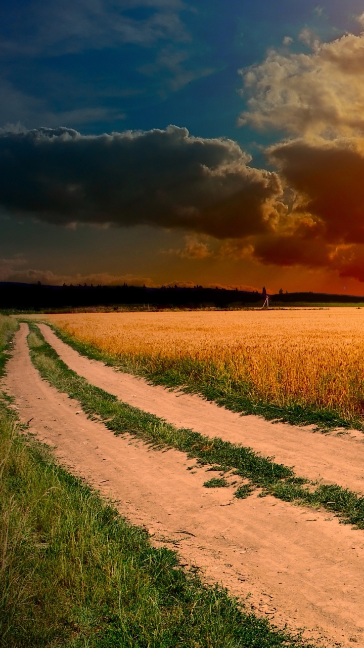 Download mobile wallpaper Sunset, Sky, Wheat, Earth, Field, Path, Cloud, Manipulation for free.