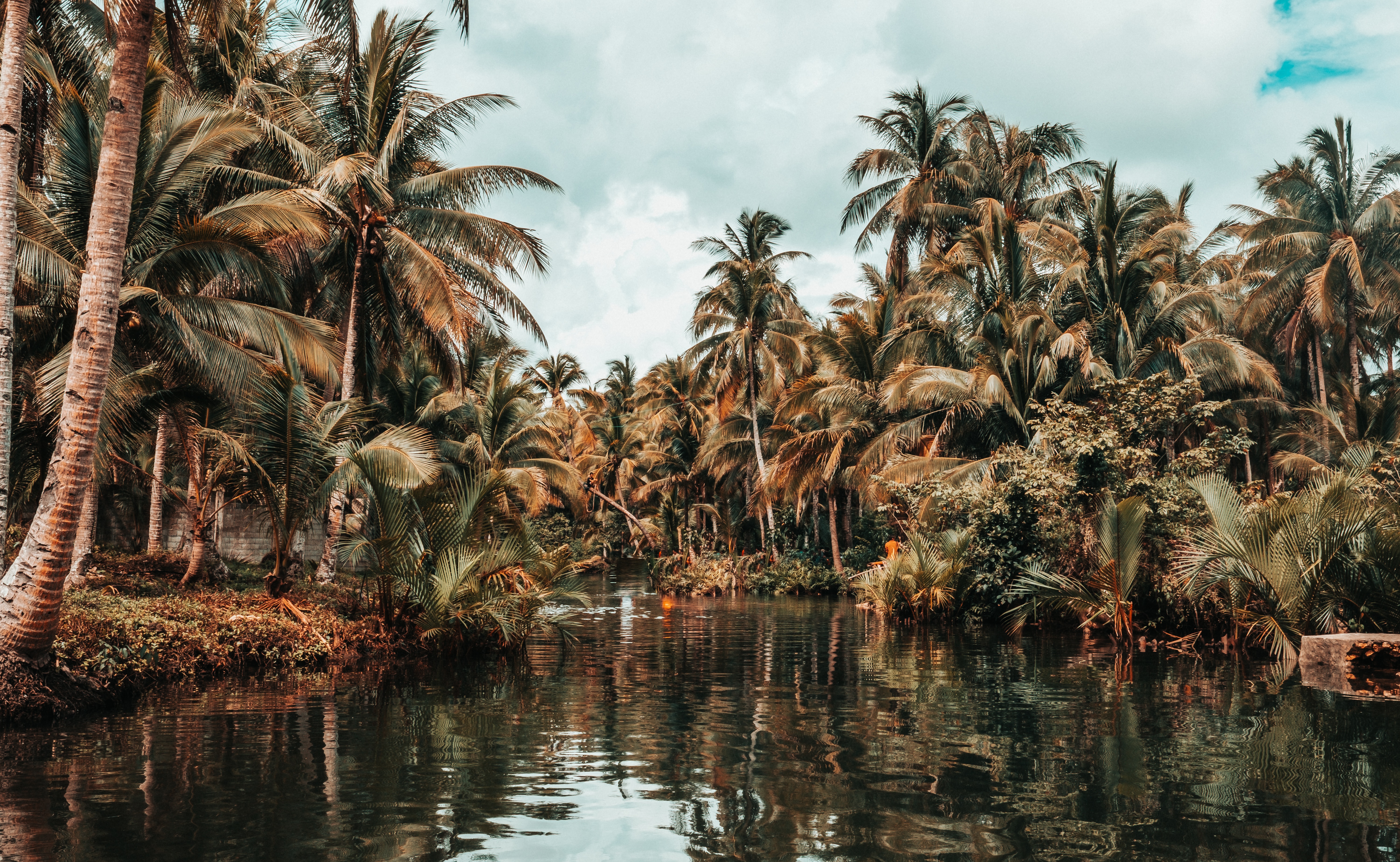 Laden Sie das Palms, Natur, Tropen, Landschaft, Flüsse-Bild kostenlos auf Ihren PC-Desktop herunter