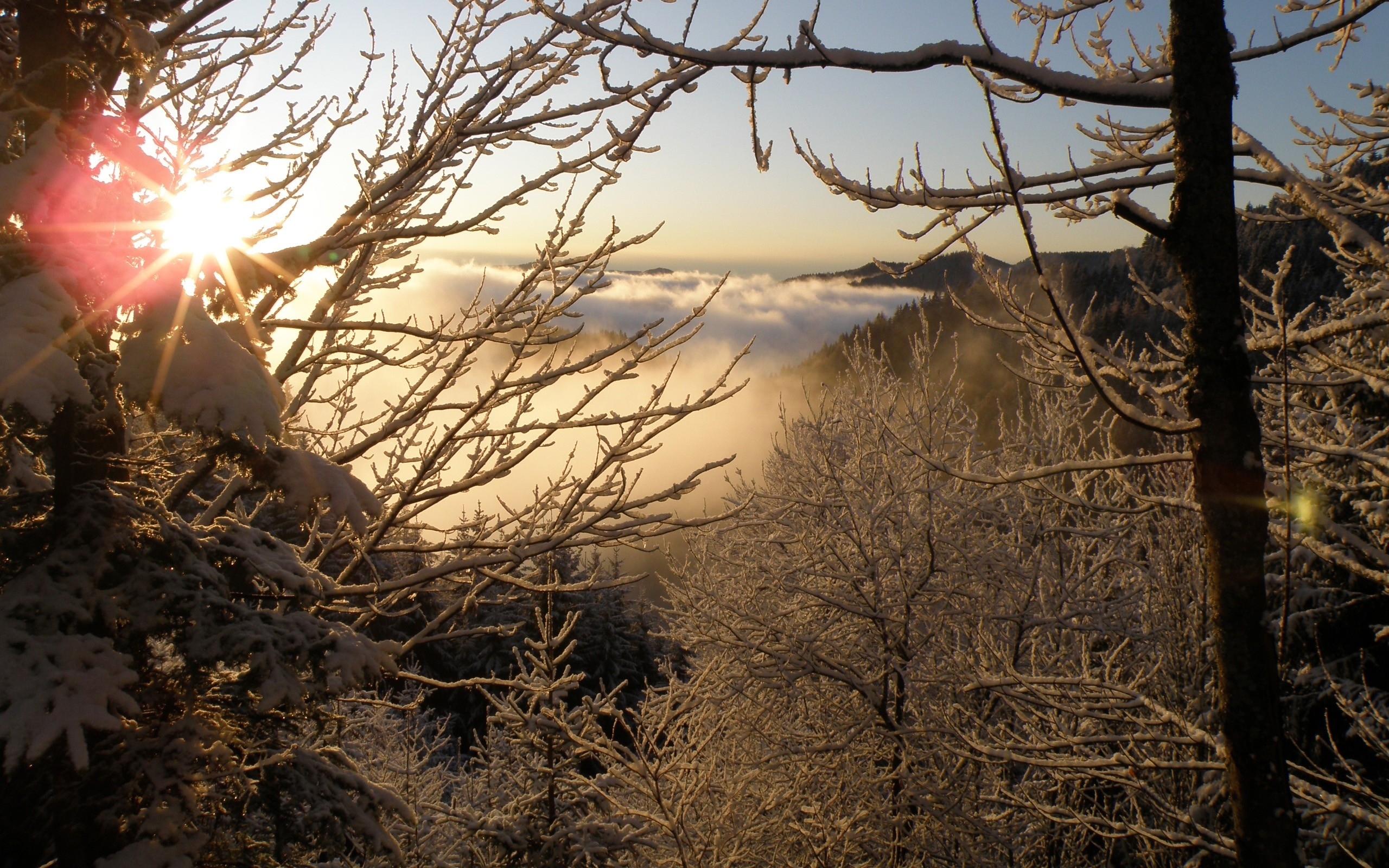 Descarga gratis la imagen Invierno, Tierra/naturaleza en el escritorio de tu PC