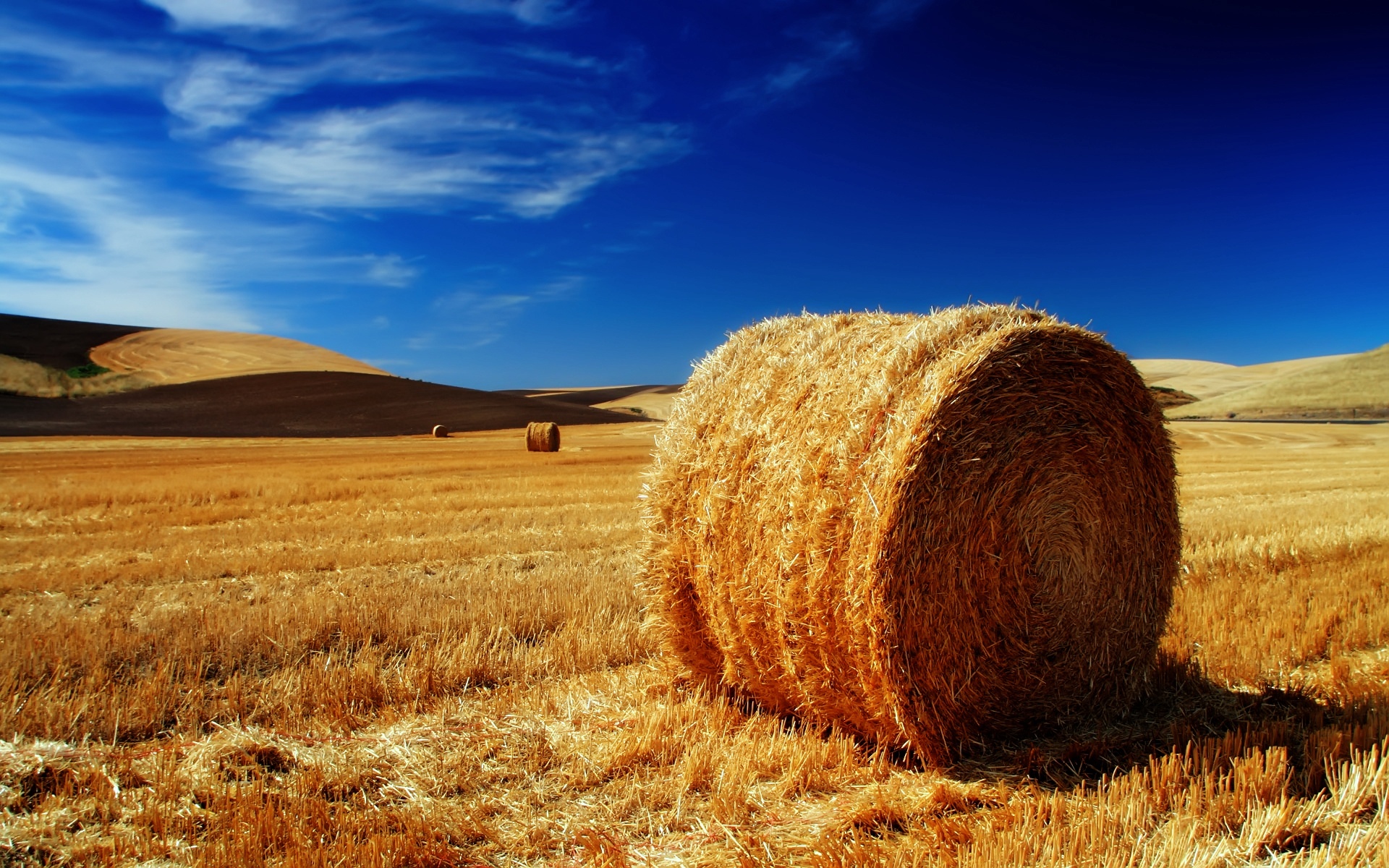 earth, haystack