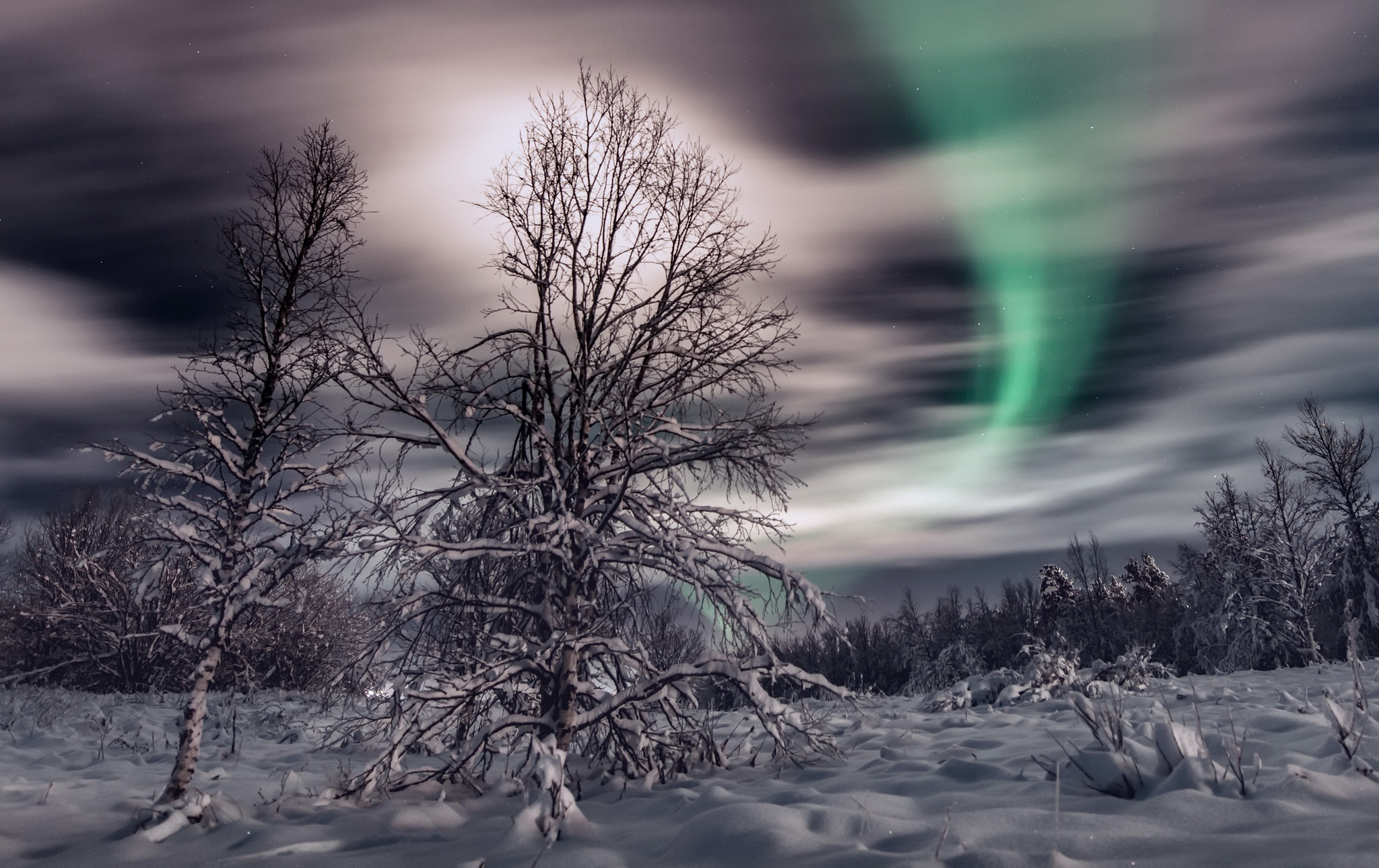 Baixe gratuitamente a imagem Inverno, Natureza, Céu, Neve, Aurora Boreal, Terra/natureza na área de trabalho do seu PC