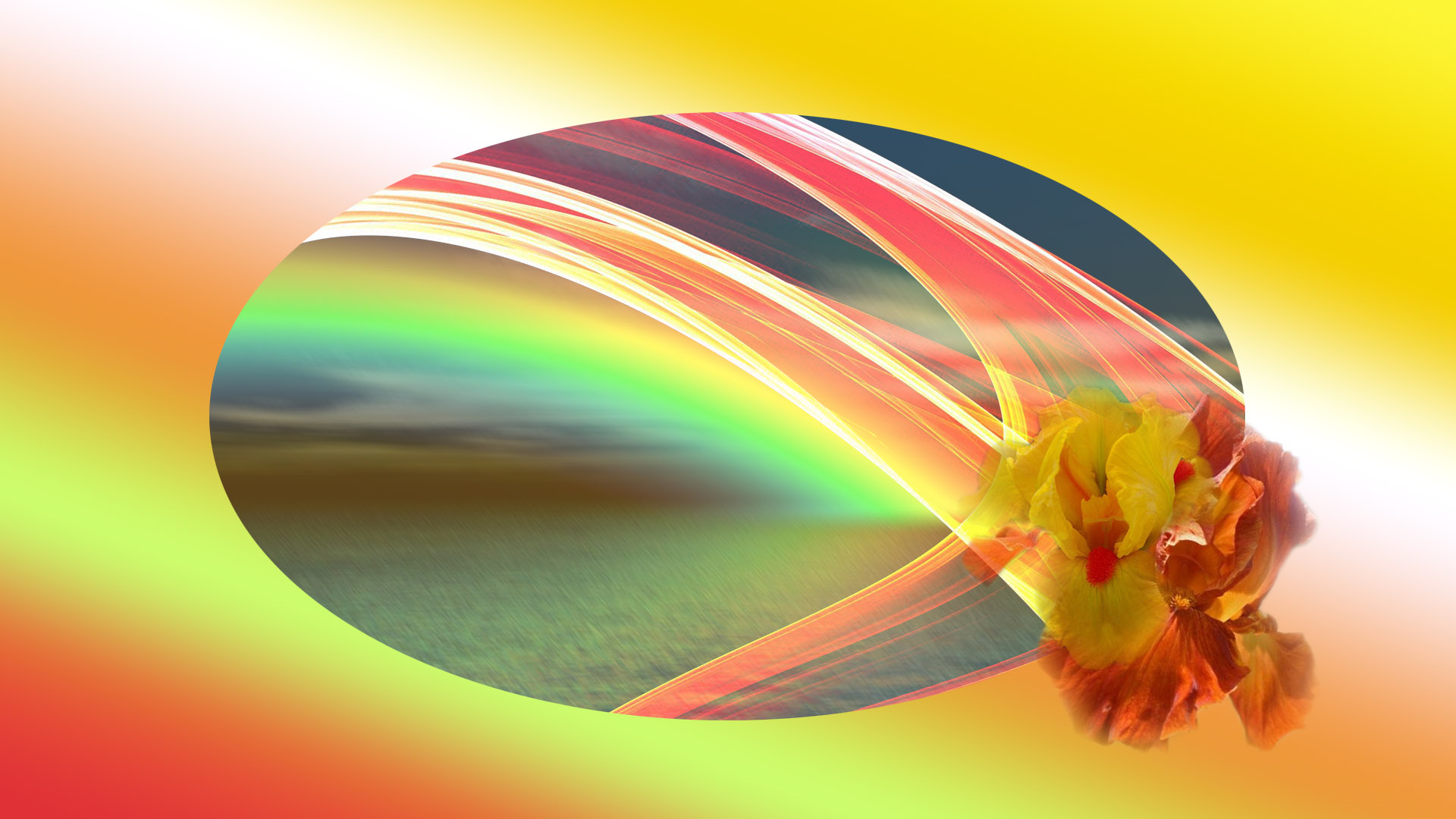Laden Sie das Abstrakt, Regenbogen, Blume, Farben-Bild kostenlos auf Ihren PC-Desktop herunter