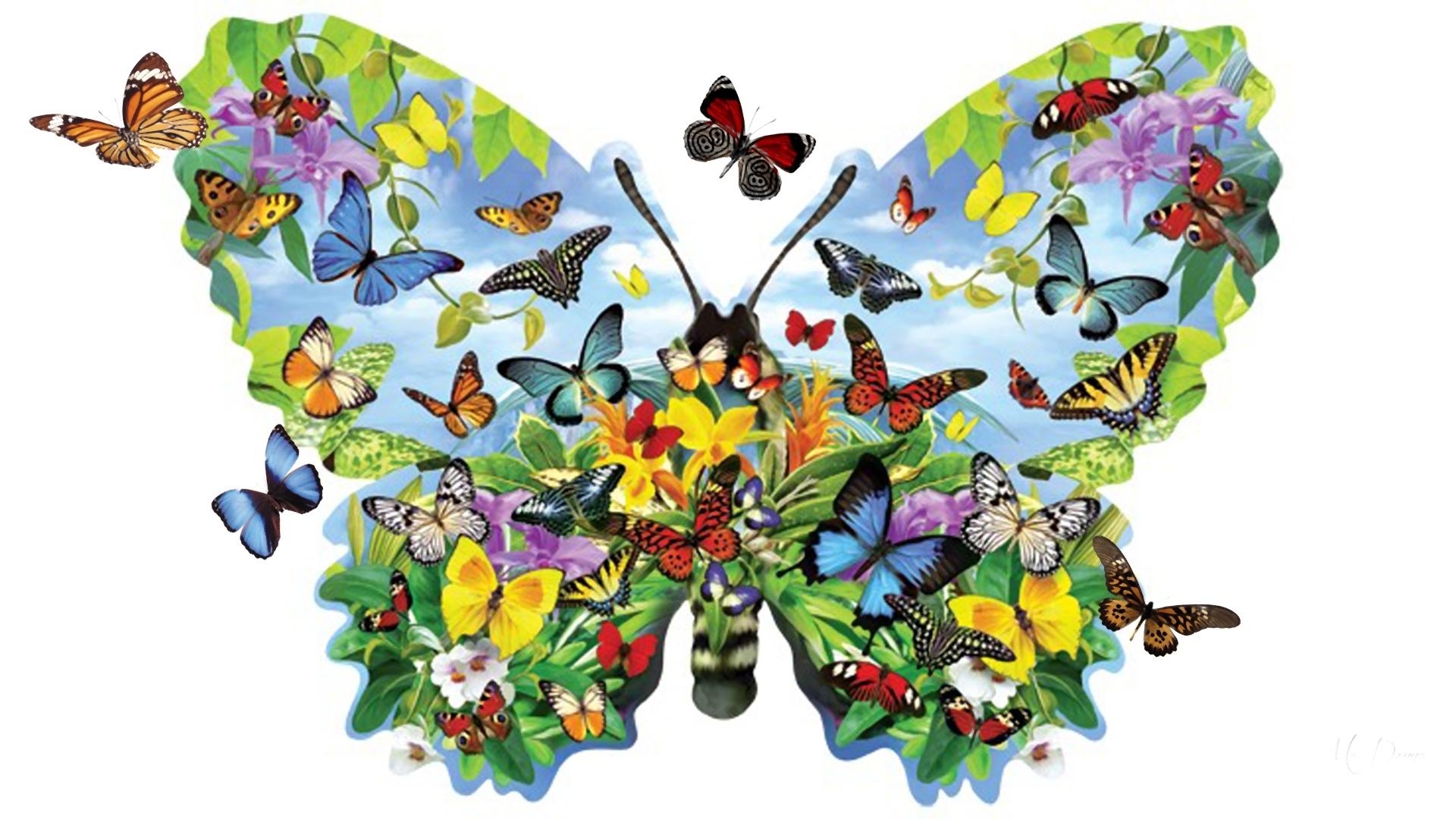 Handy-Wallpaper Farben, Schmetterling, Bunt, Frühling, Künstlerisch kostenlos herunterladen.