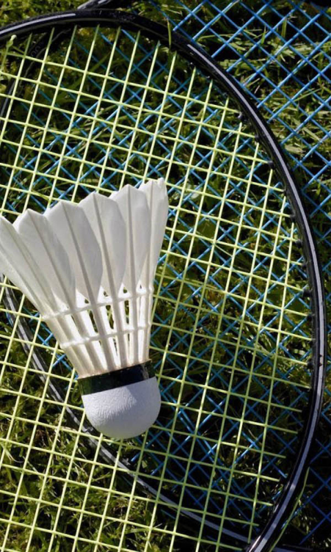 1246500 Hintergrundbild herunterladen sport, badminton - Bildschirmschoner und Bilder kostenlos