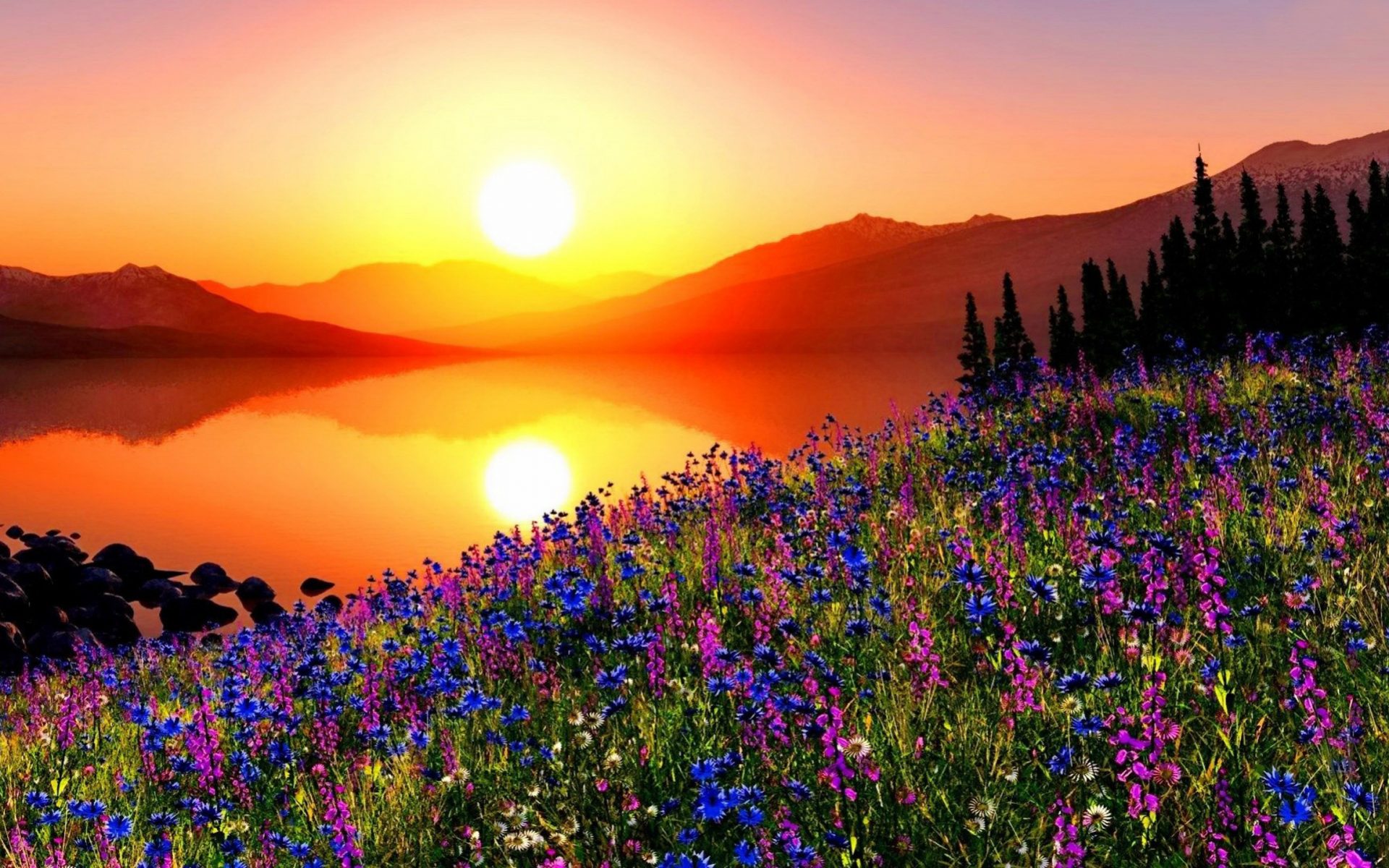 Download mobile wallpaper Sunset, Sky, Sun, Mountain, Lake, Flower, Earth, Orange (Color) for free.
