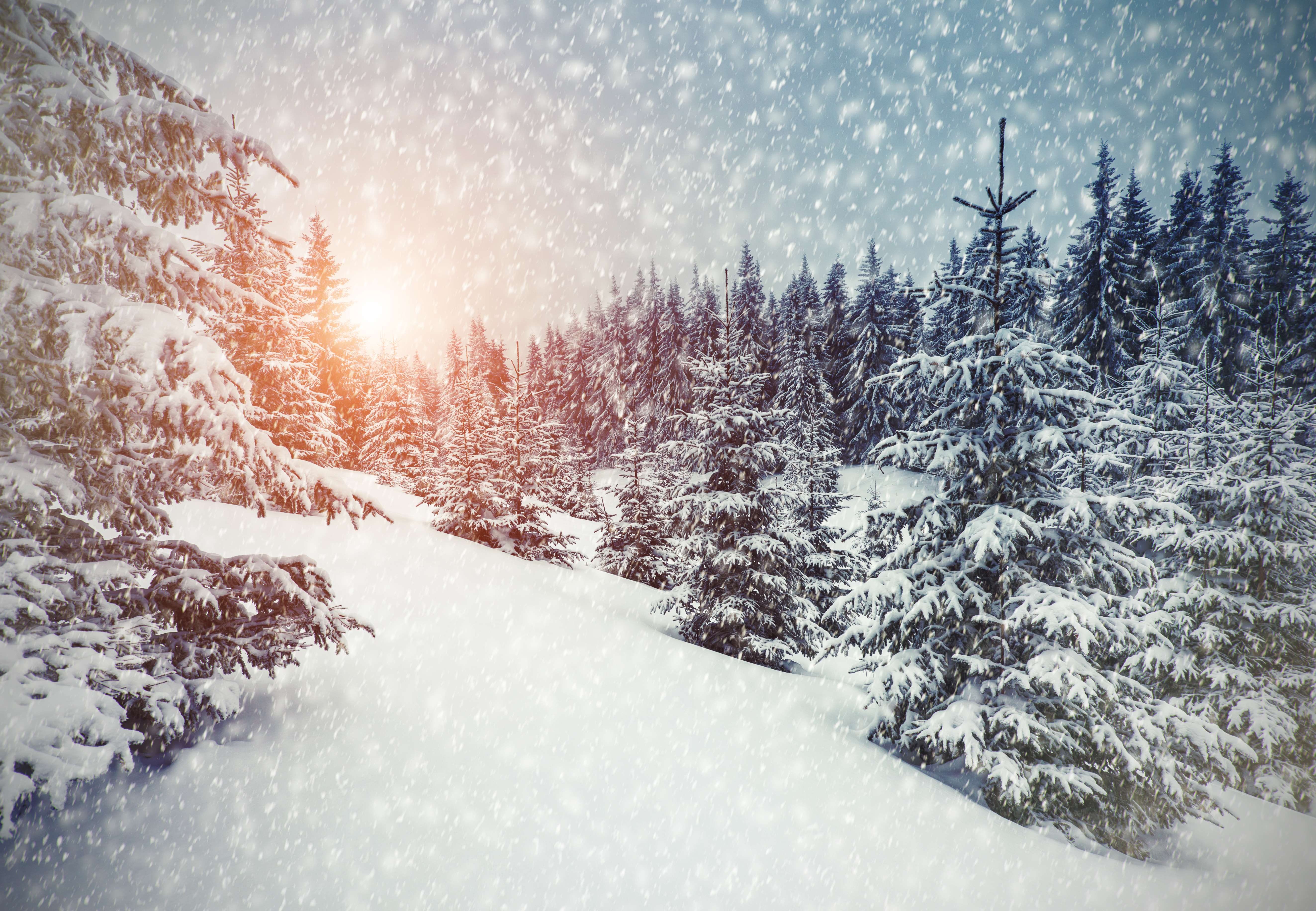 Free download wallpaper Winter, Earth on your PC desktop