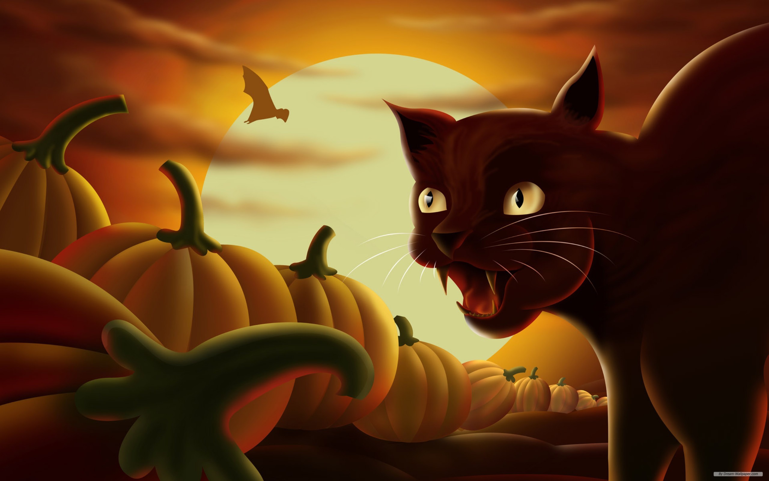 Free download wallpaper Halloween, Cat, Holiday on your PC desktop