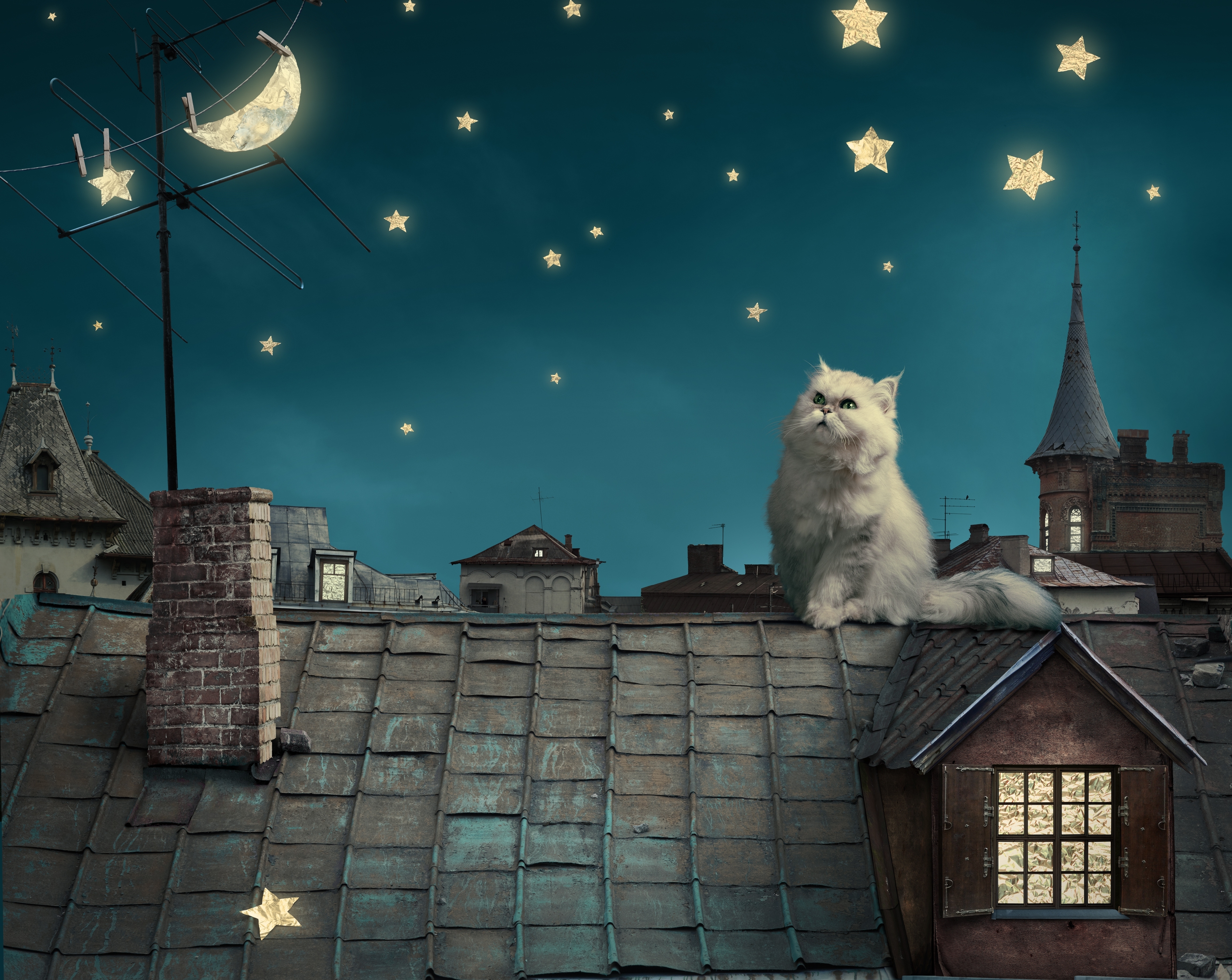 74496 завантажити картинку ніч, фентезі, тварини, місяць, будинки, небо, зірки, кошеня, дах, дахи, казка, перські білий кіт, перська біла кішка - шпалери і заставки безкоштовно