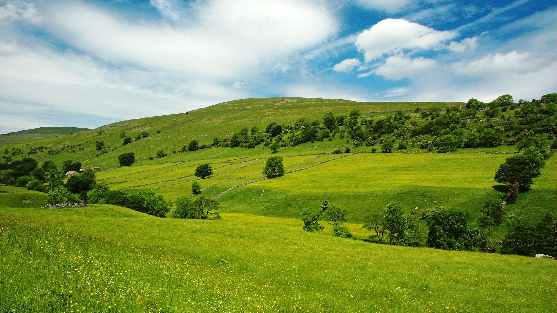 Descarga gratuita de fondo de pantalla para móvil de Campo, Tierra/naturaleza.