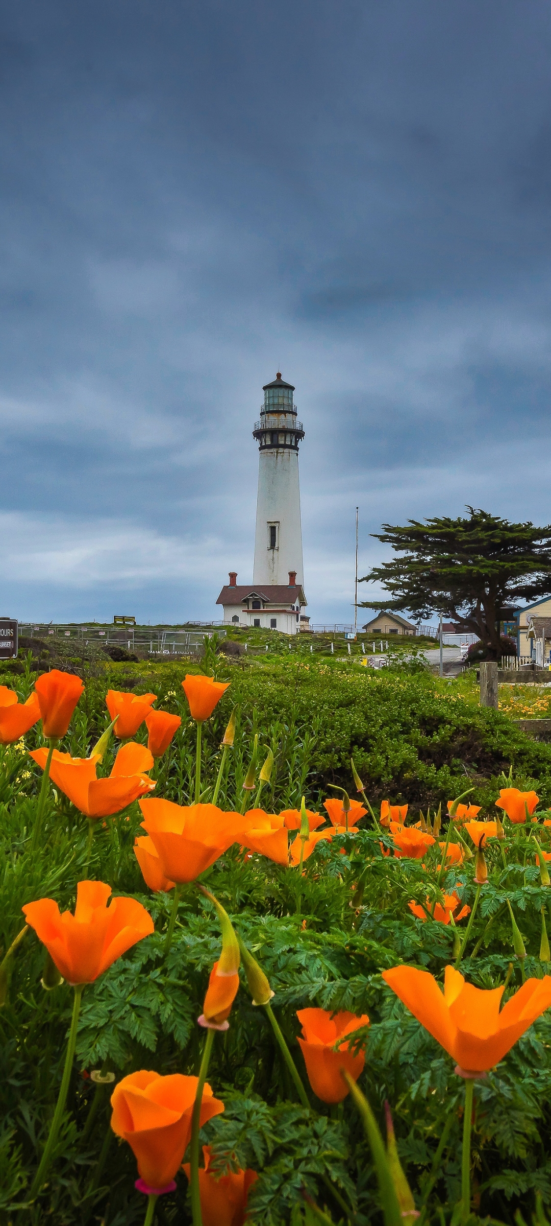 無料モバイル壁紙灯台, 花, 海岸, カリフォルニア, マンメイド, クラウドをダウンロードします。