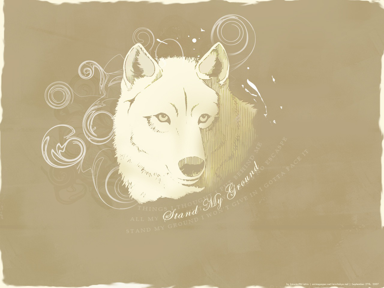 Free download wallpaper Wolf, Animal on your PC desktop