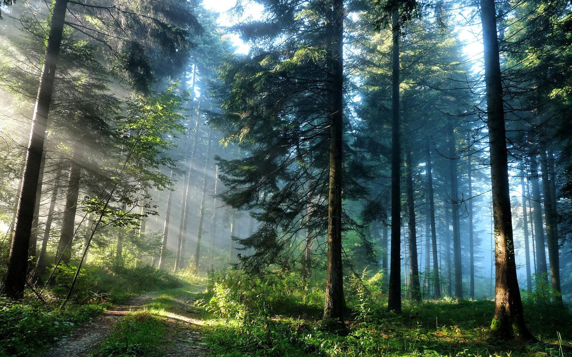 Téléchargez gratuitement l'image Rayon De Soleil, Terre/nature sur le bureau de votre PC