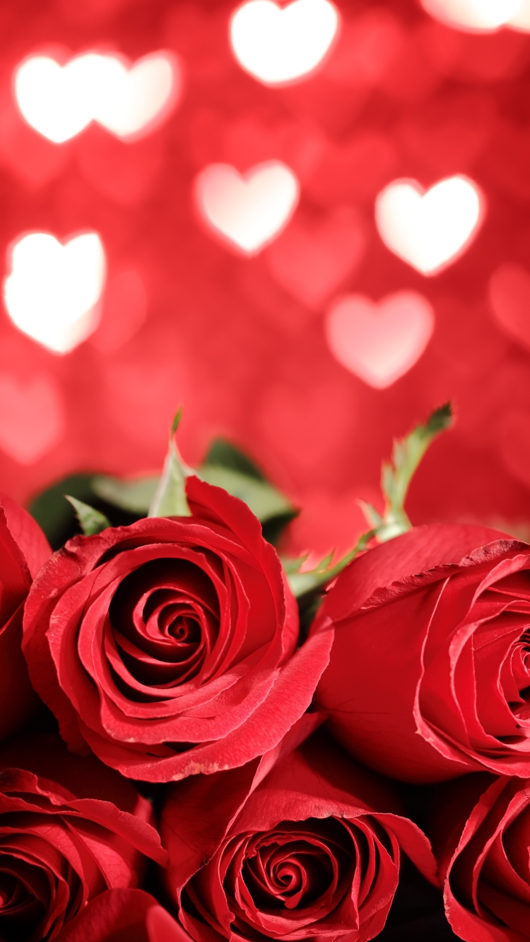 Download mobile wallpaper Flowers, Flower, Rose, Earth, Heart, Bokeh, Red Rose, Red Flower for free.