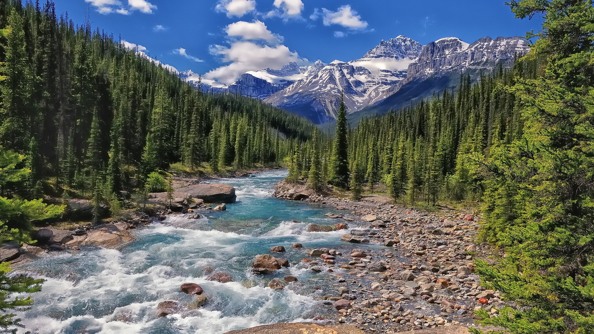 685416 descargar imagen tierra/naturaleza, rio, alberta, parque nacional banff, banff, canadá, bosque, río mistaya, montaña: fondos de pantalla y protectores de pantalla gratis