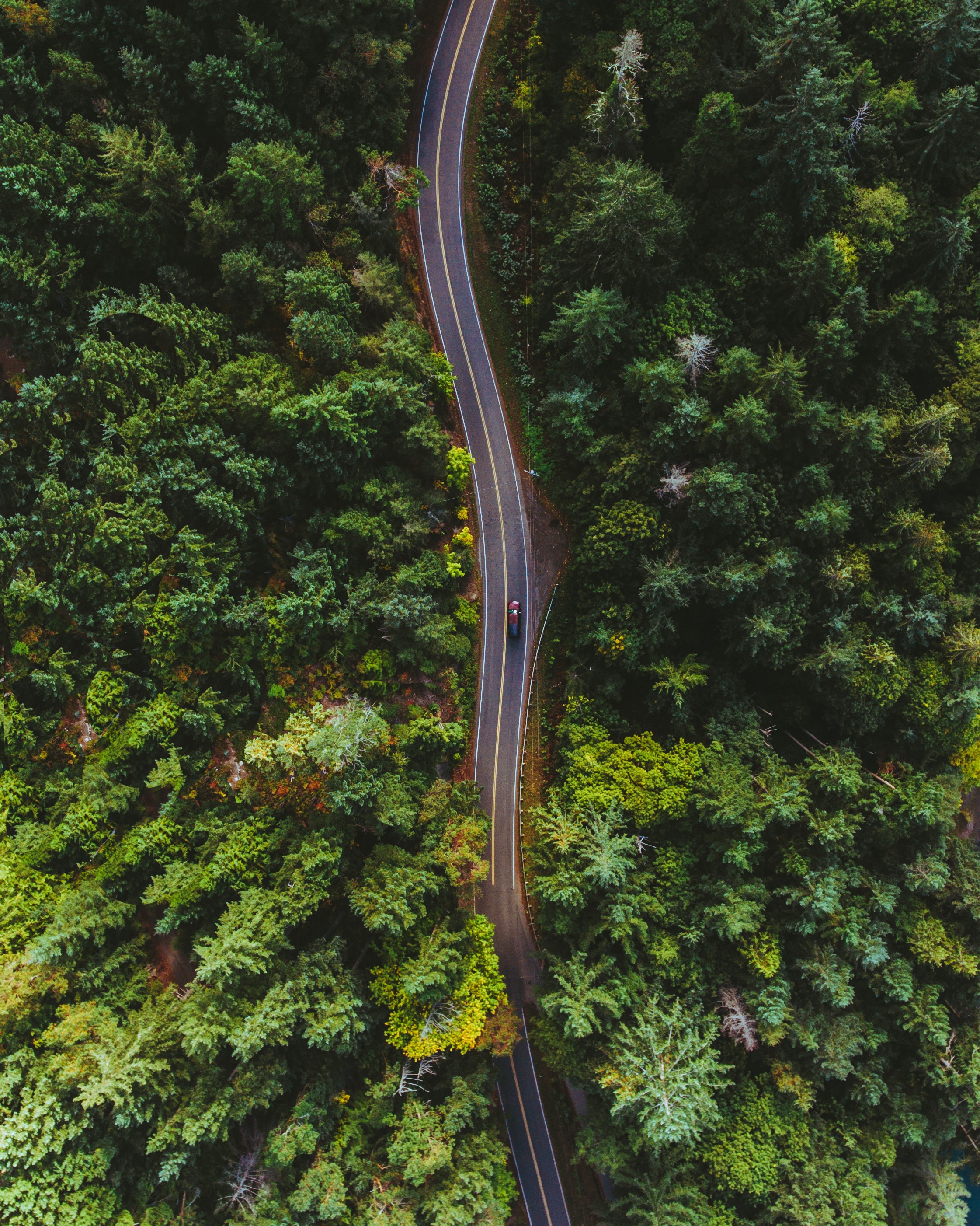 Free download wallpaper Nature, Road, Markup, Trees, View From Above, Car on your PC desktop