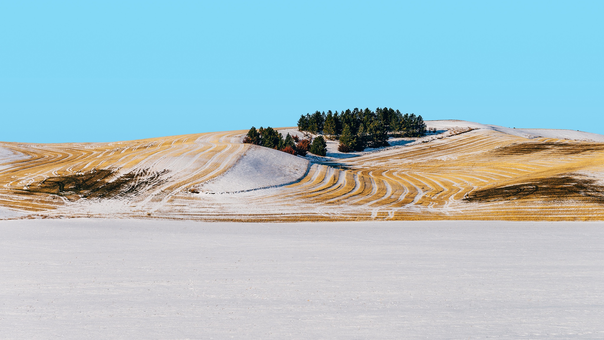 PCデスクトップに冬, 自然, 雪, 地球, 丘, 分野画像を無料でダウンロード