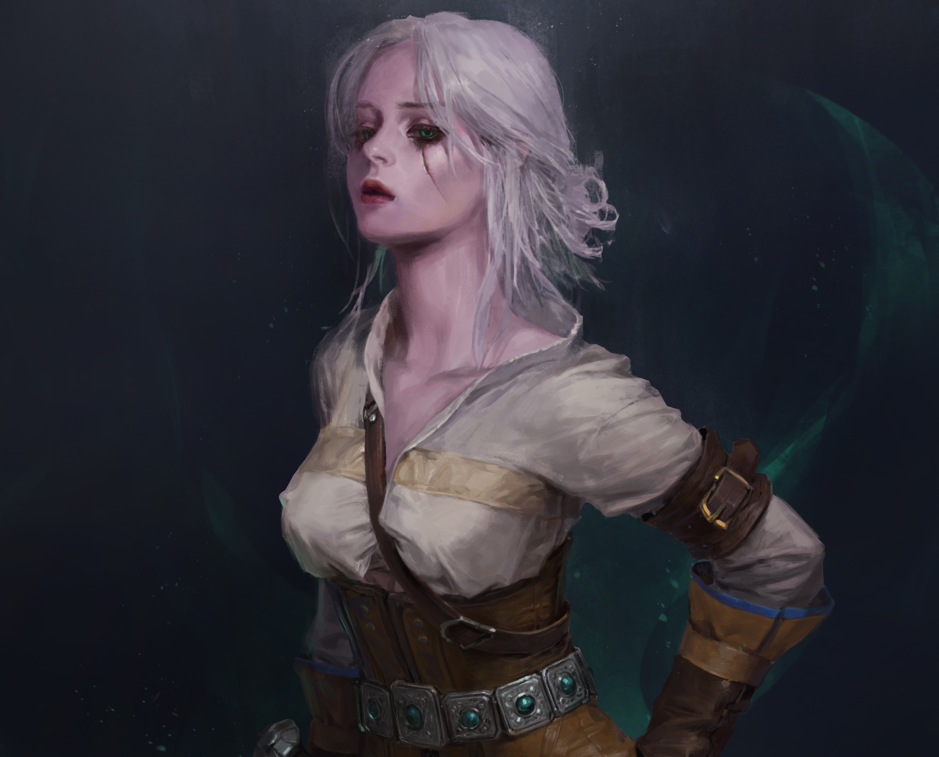 Download mobile wallpaper Video Game, White Hair, Woman Warrior, The Witcher, The Witcher 3: Wild Hunt, Ciri (The Witcher) for free.