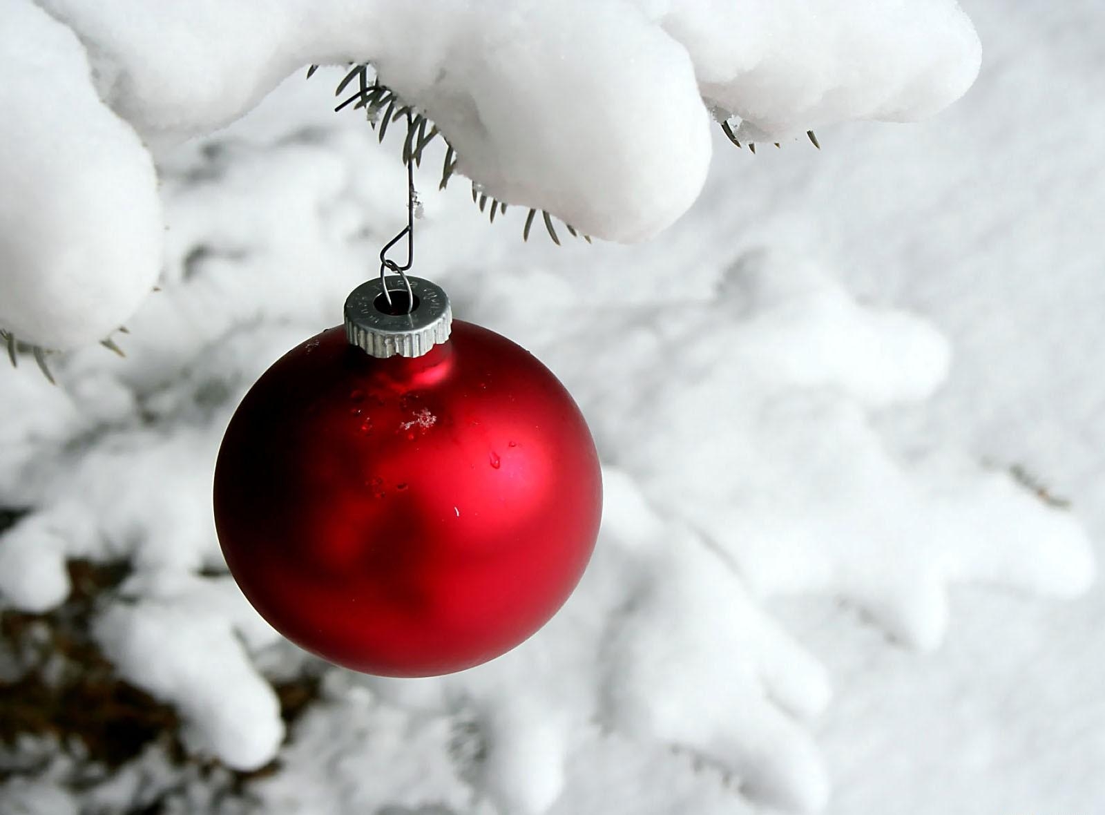 holidays, snow, branch, ball, needles, christmas tree toy, hang