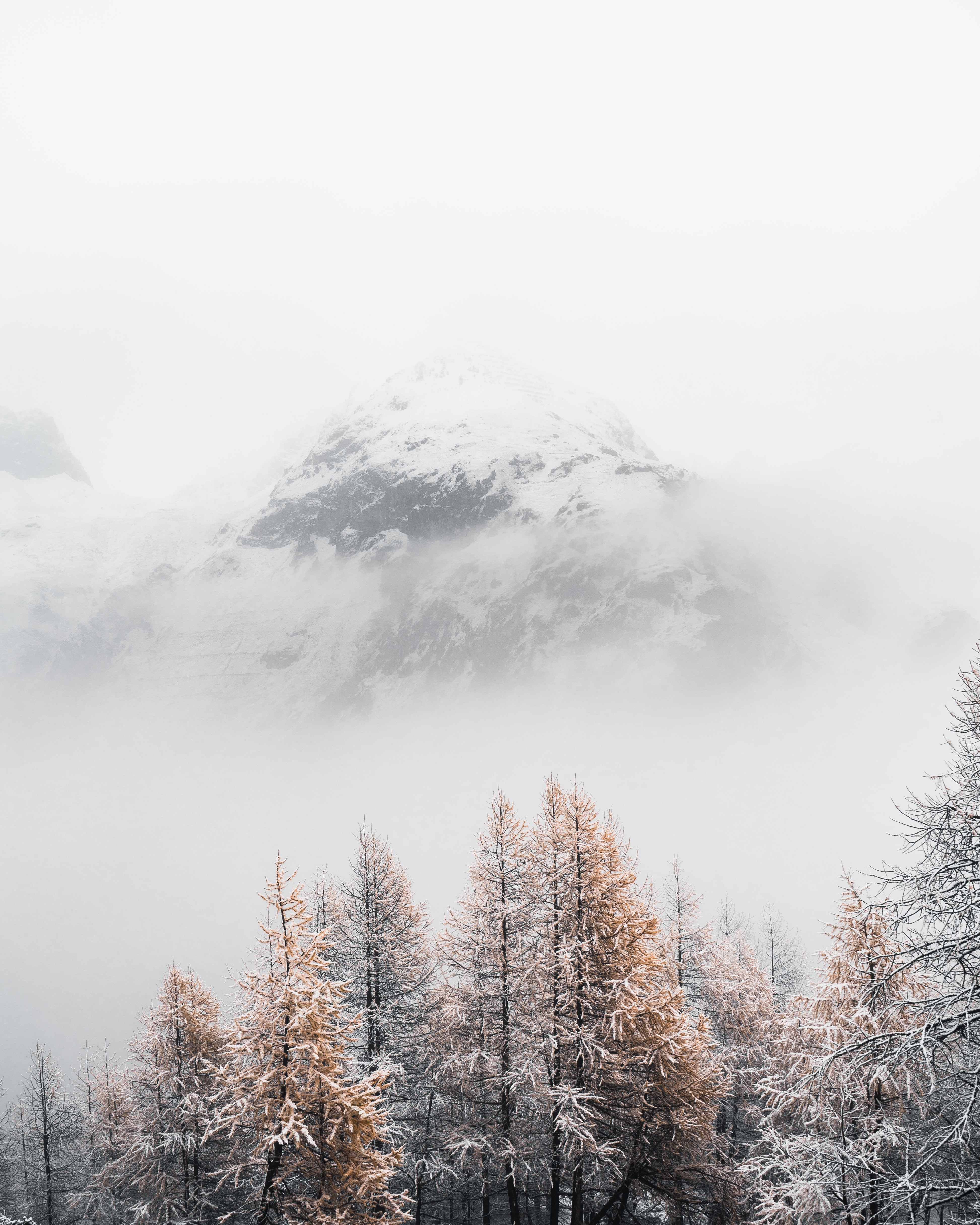 Download mobile wallpaper Top, Fog, Mountain, Vertex, Winter, Trees, Nature, Landscape for free.