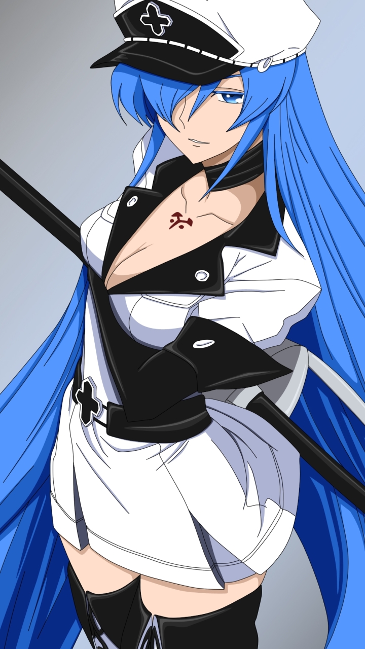 Download mobile wallpaper Anime, Akame Ga Kill! for free.