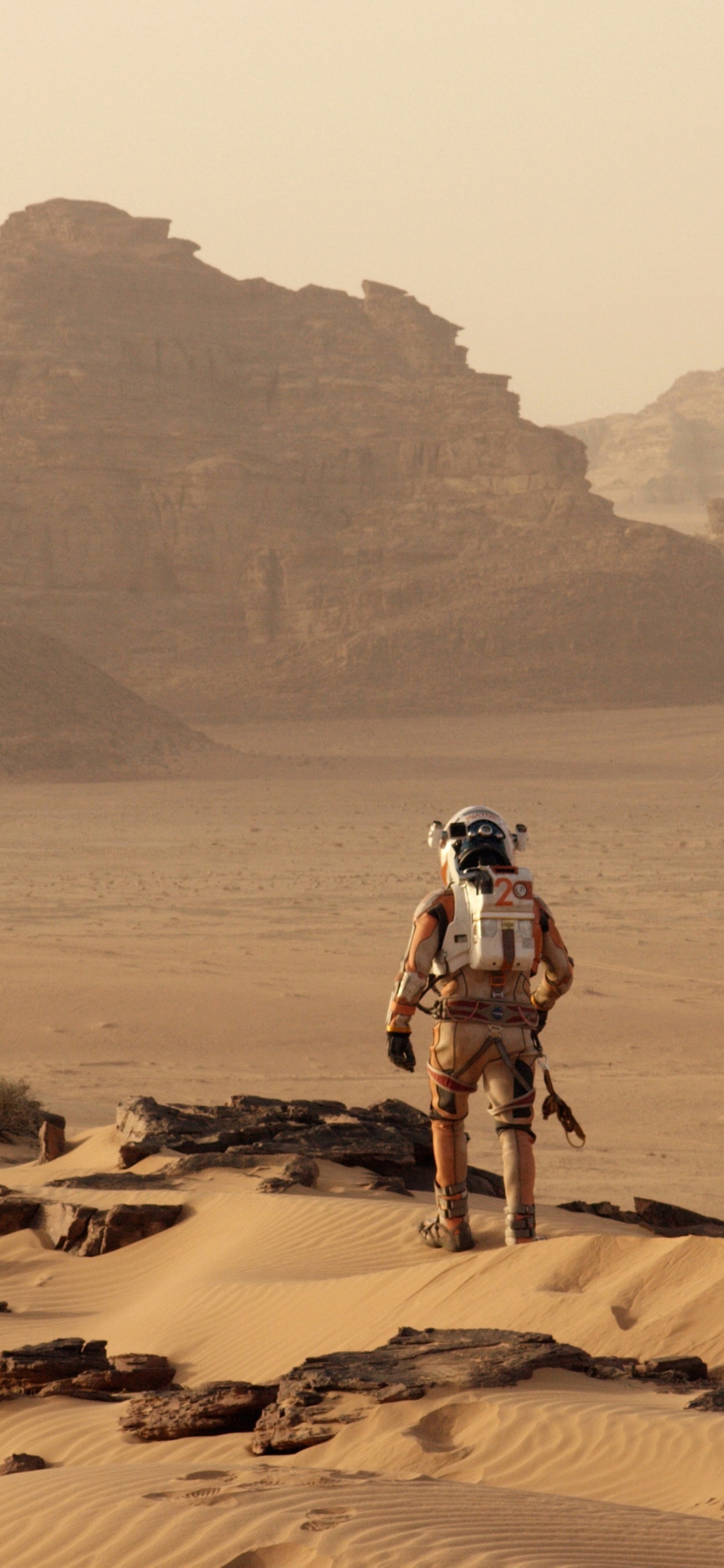 Baixar papel de parede para celular de Filme, Perdido Em Marte gratuito.