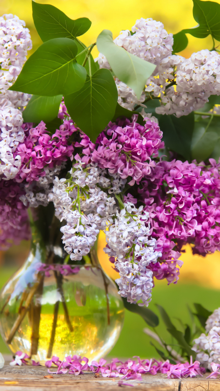 Download mobile wallpaper Lilac, Flower, Vase, White Flower, Purple Flower, Man Made for free.