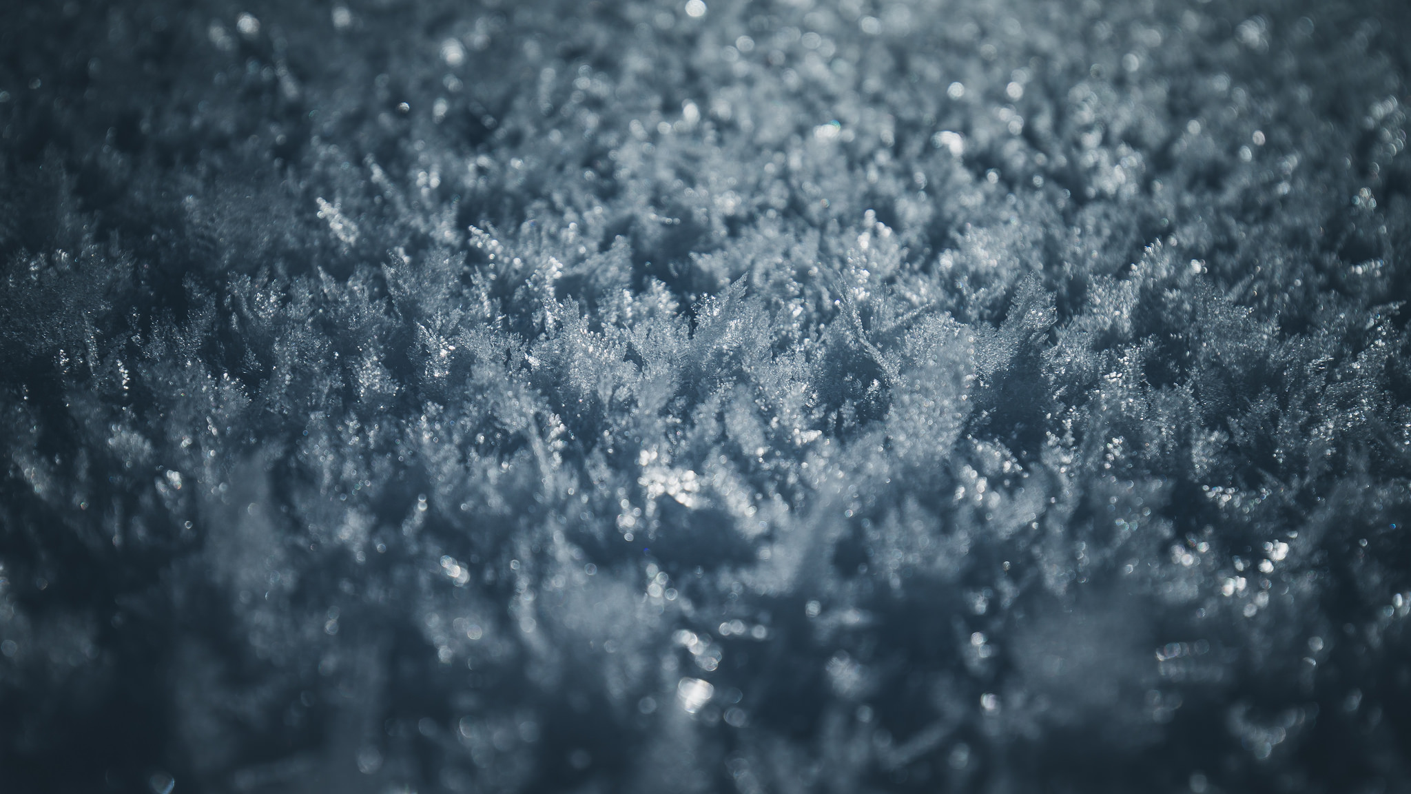 Descarga gratuita de fondo de pantalla para móvil de Copo De Nieve, Tierra/naturaleza, Macrofotografía.