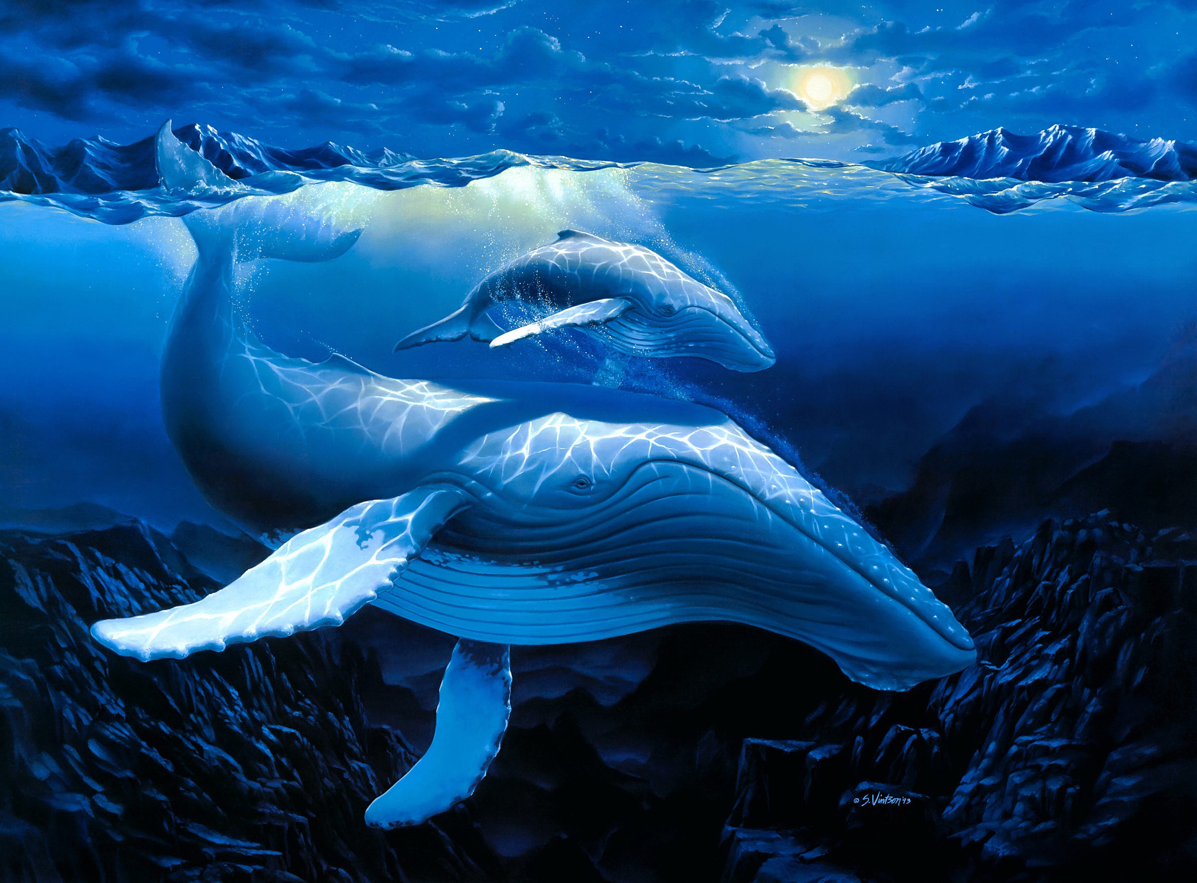 無料モバイル壁紙動物, ペインティング, 鯨, 水中, 赤ちゃん動物, 海の生物をダウンロードします。