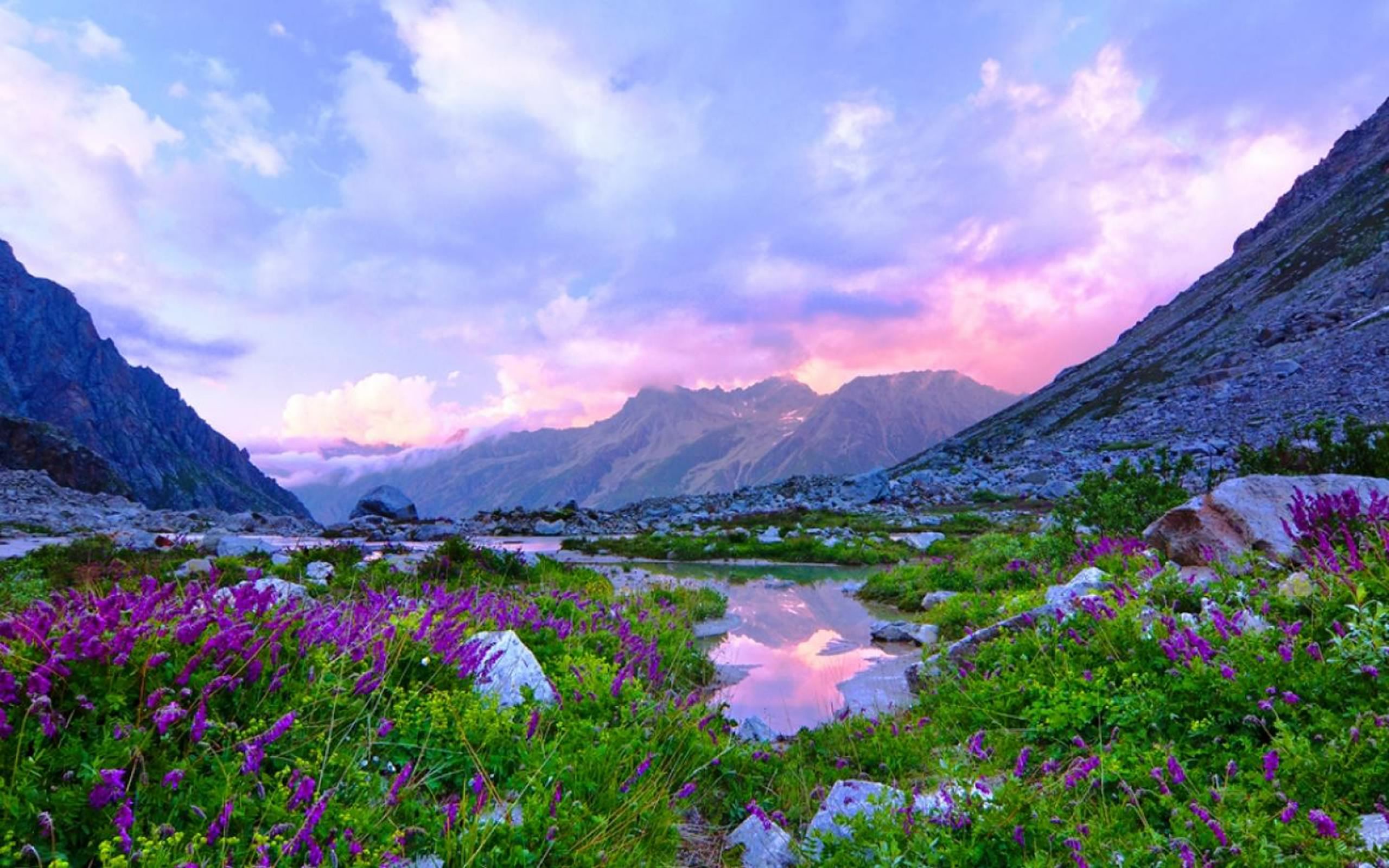 Download mobile wallpaper Landscape, Sunset, Lake, Flower, Earth, Purple Flower for free.