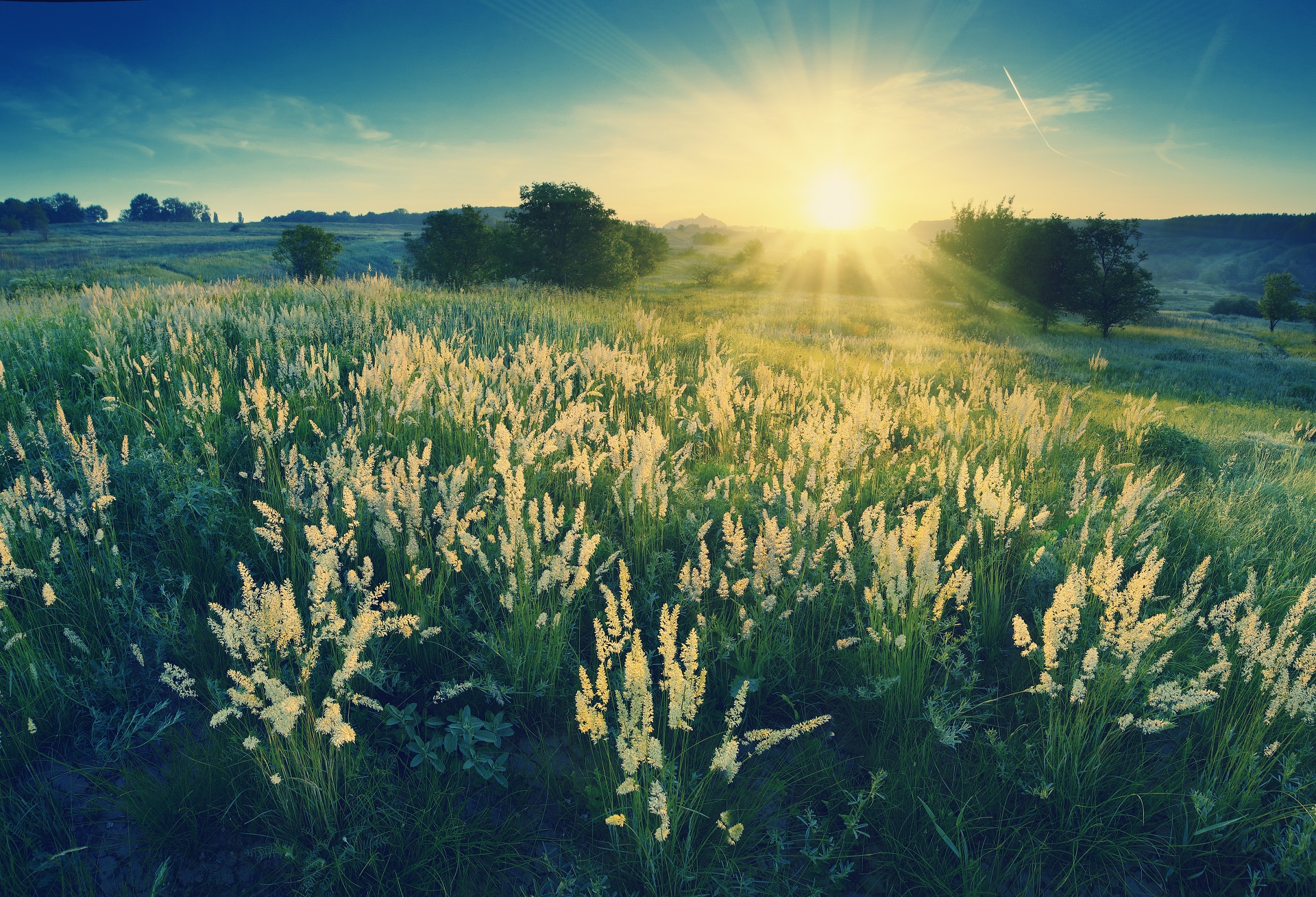 Descarga gratis la imagen Paisaje, Tierra/naturaleza en el escritorio de tu PC