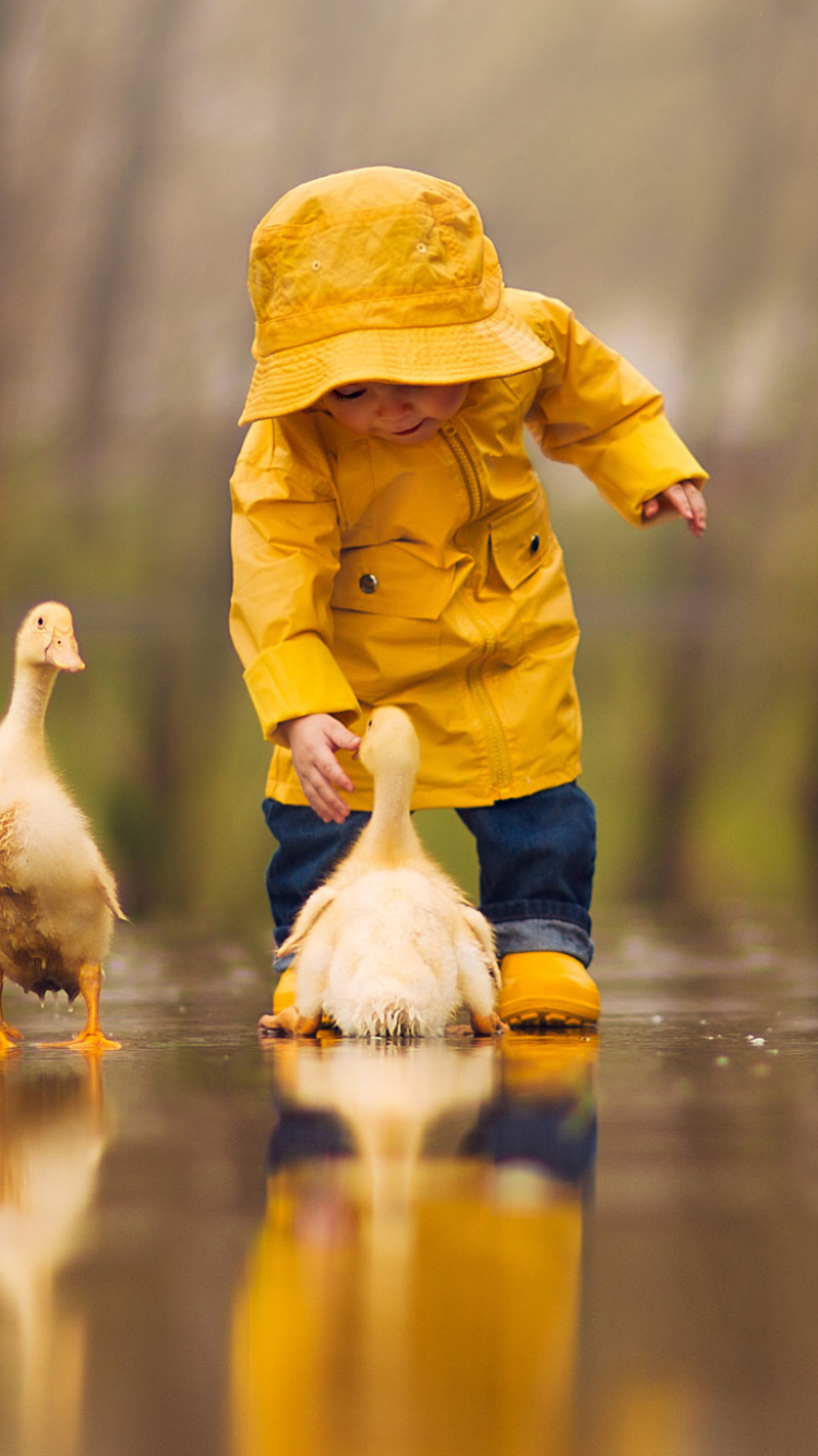 Download mobile wallpaper Reflection, Bird, Duck, Child, Cute, Photography, Depth Of Field for free.