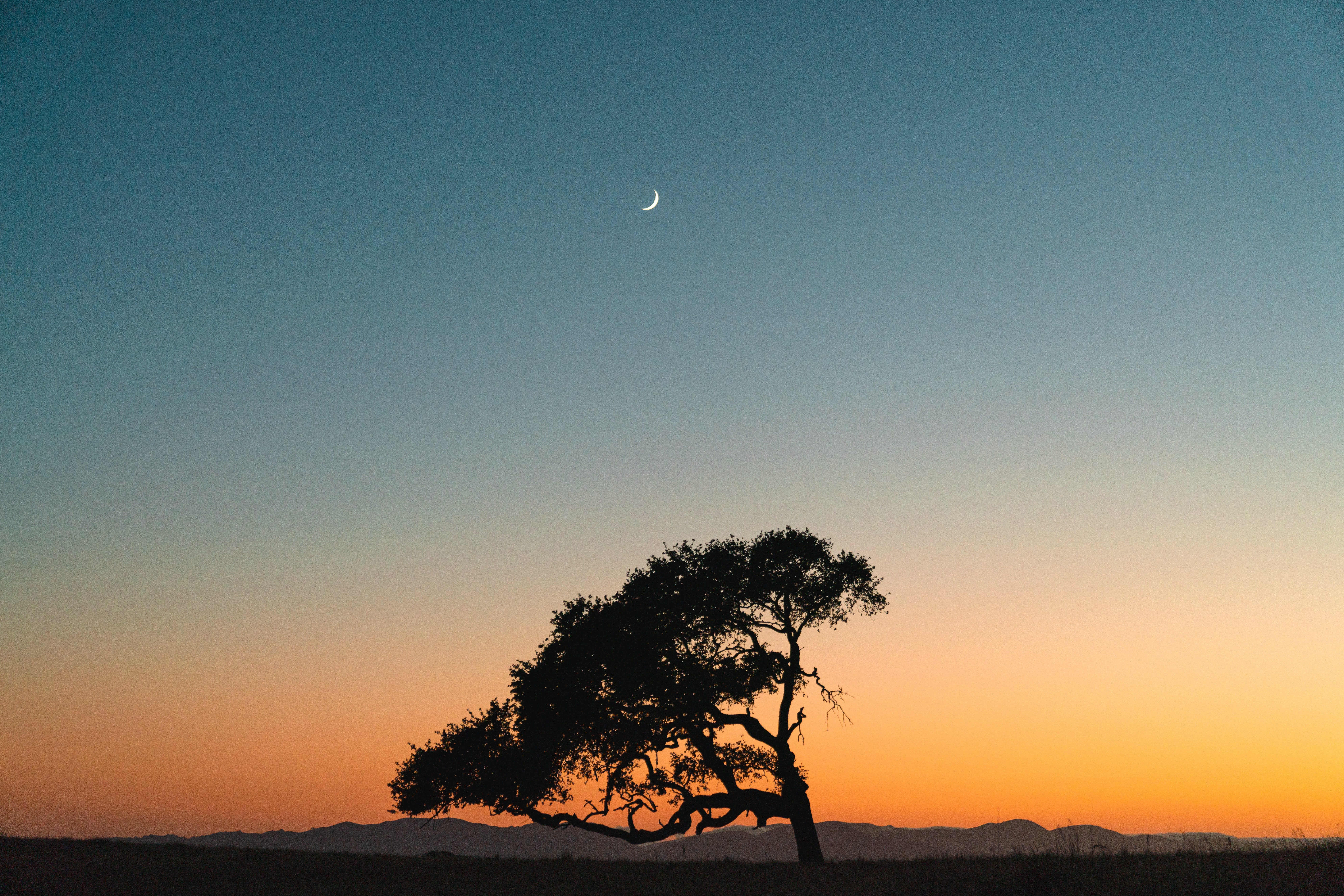 Download mobile wallpaper Tree, Wood, Sunset, Sky, Moon, Nature for free.