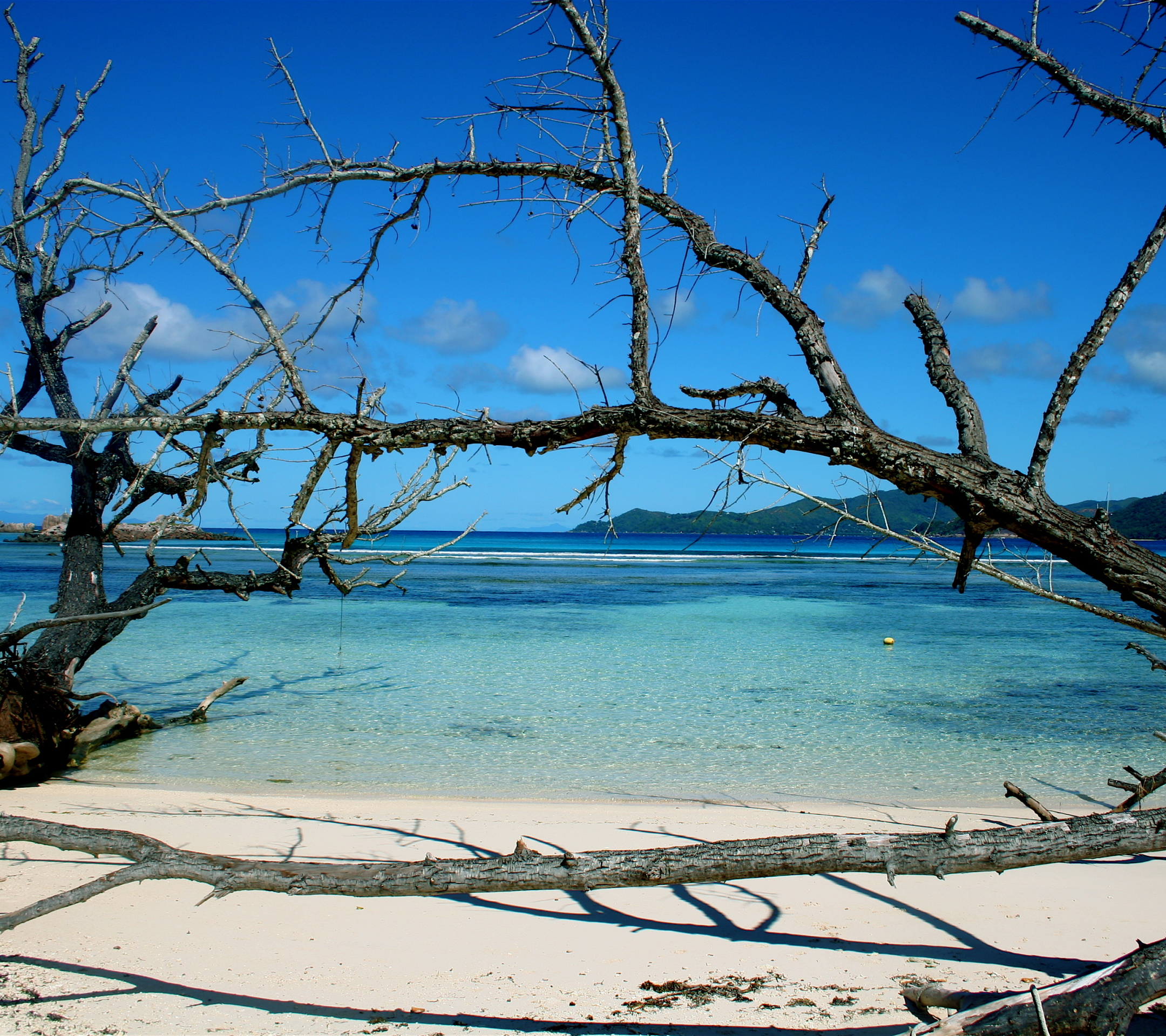 Descarga gratuita de fondo de pantalla para móvil de Playa, Tierra/naturaleza.