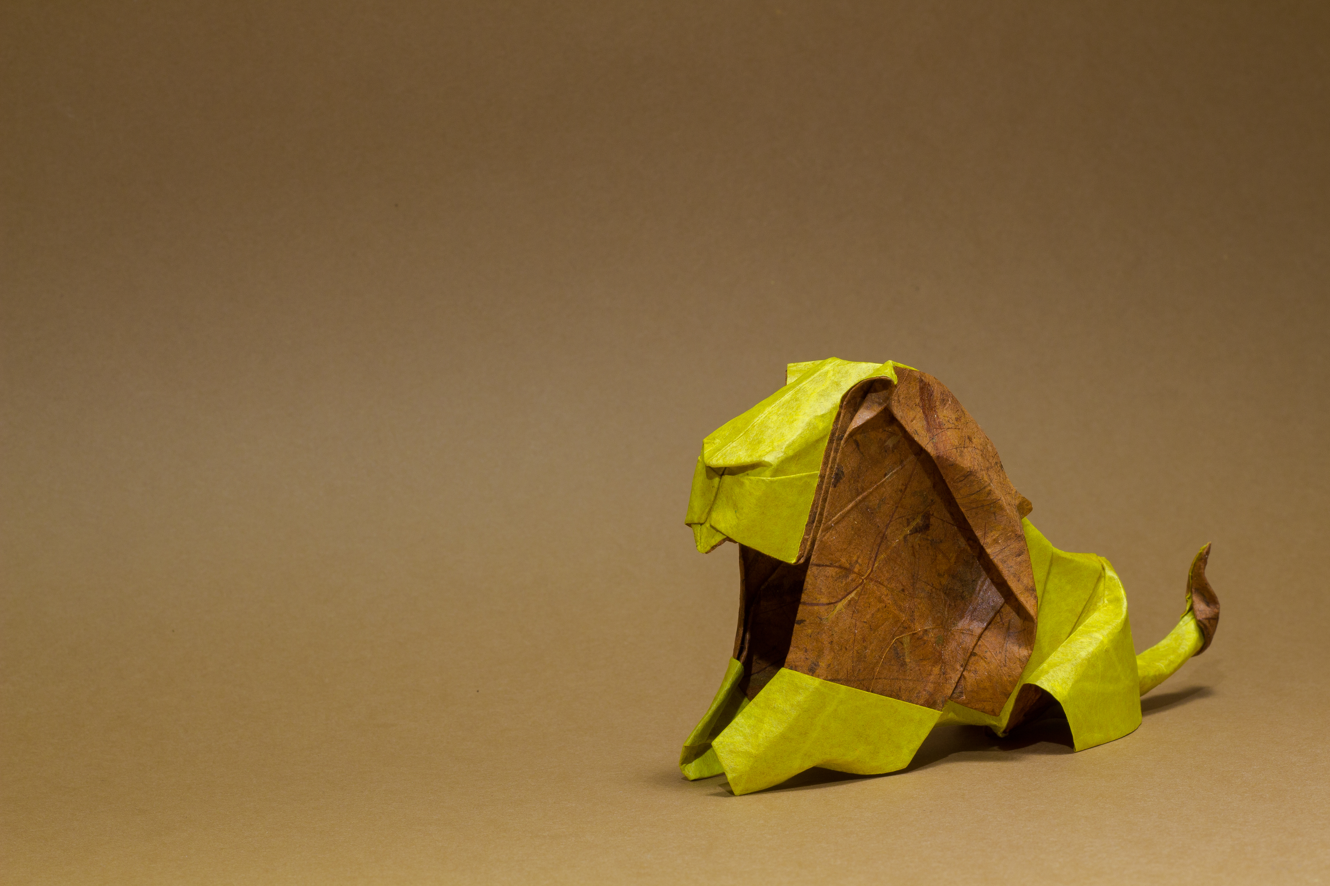 Download mobile wallpaper Lion, Origami, Man Made, Minimalist for free.