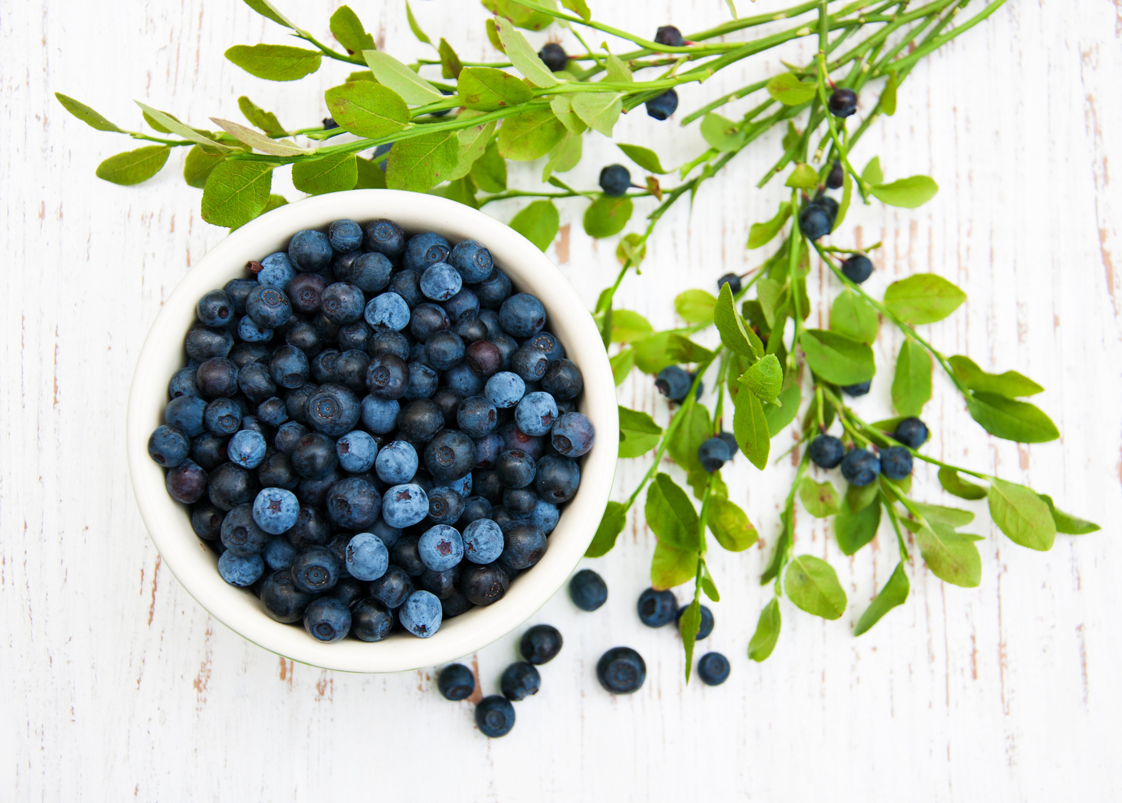 Free download wallpaper Food, Blueberry, Berry, Fruit on your PC desktop