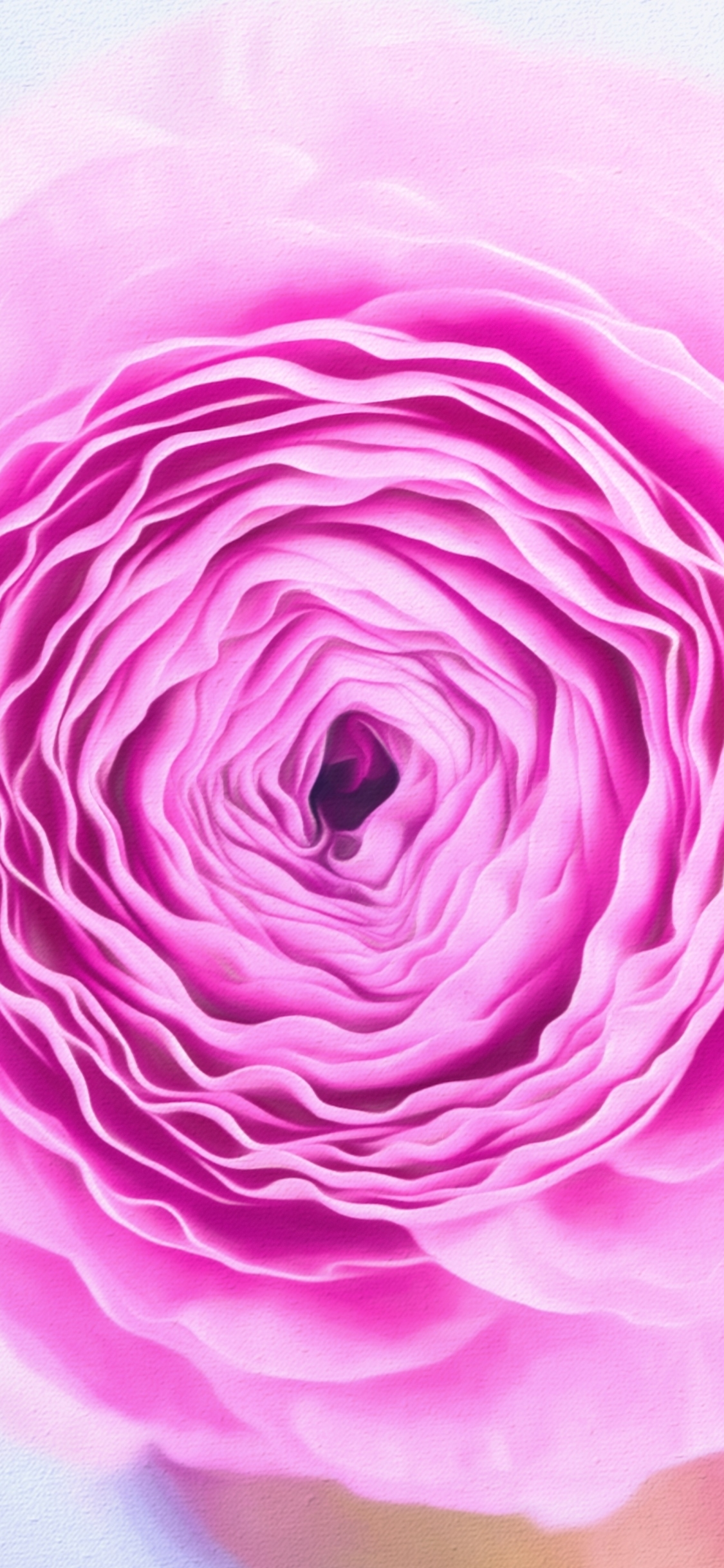 Téléchargez des papiers peints mobile Fleurs, Fleur, Bourgeon, Fermer, La Nature, Terre/nature, Fleur Rose gratuitement.