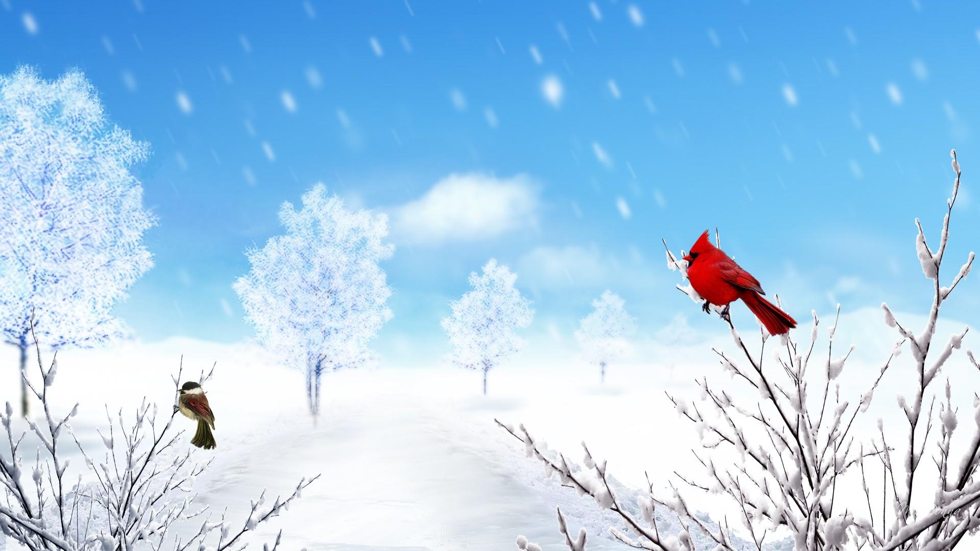 Download mobile wallpaper Winter, Snow, Bird, Sparrow, Artistic, Snowfall, Cardinal for free.
