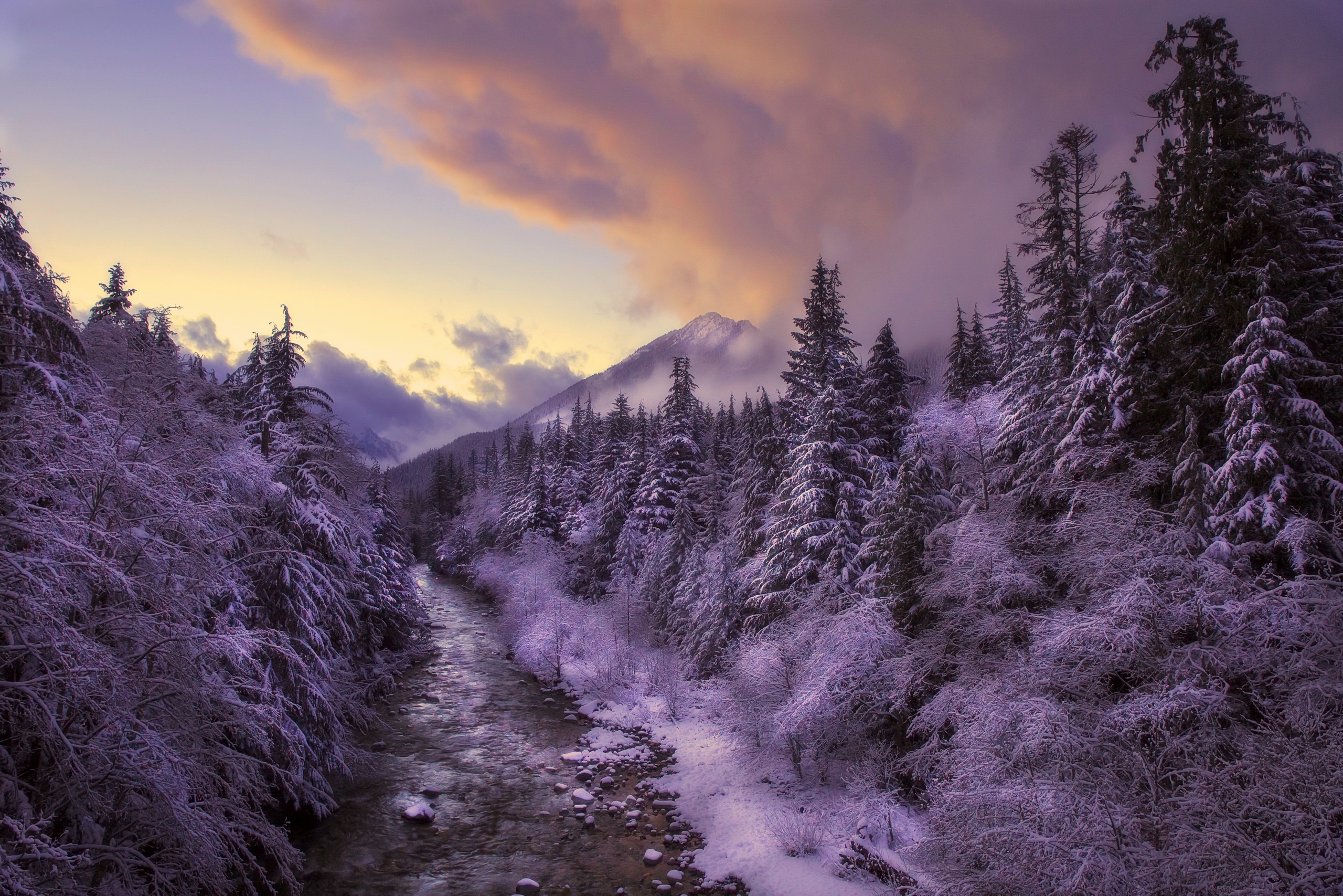 Téléchargez gratuitement l'image Hiver, Forêt, Arbre, La Nature, Terre/nature, Rivière, Neiger sur le bureau de votre PC