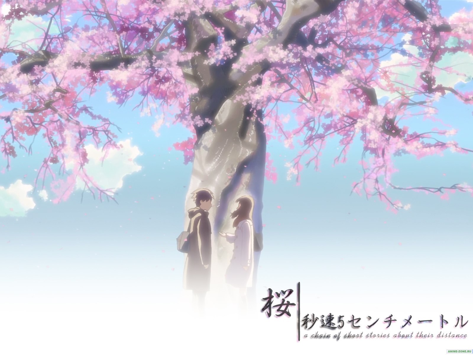 Baixar papel de parede para celular de Sakura, Anime gratuito.