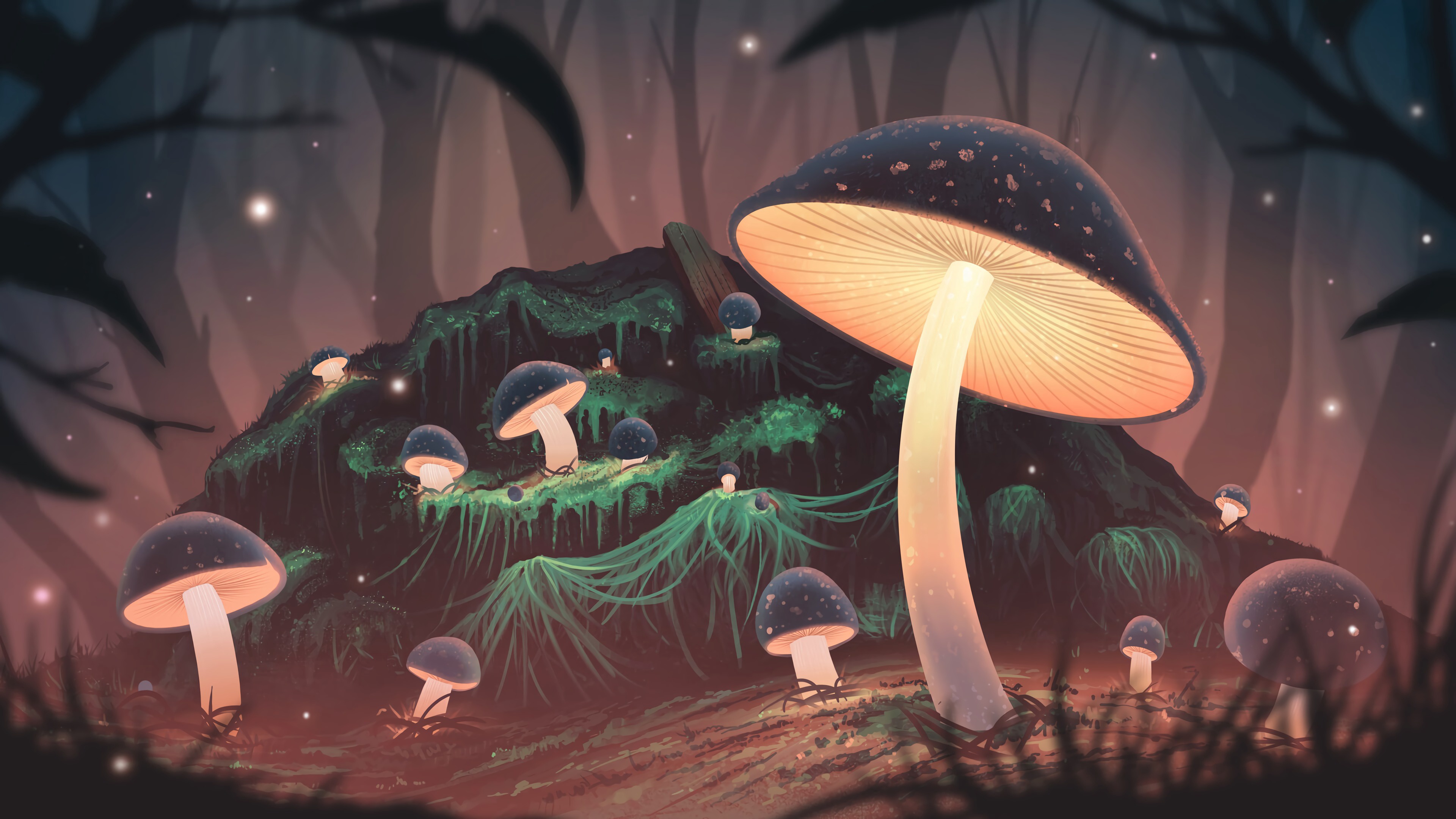 Laden Sie das Natur, Fantasie, Wald, Pilz, Nacht-Bild kostenlos auf Ihren PC-Desktop herunter