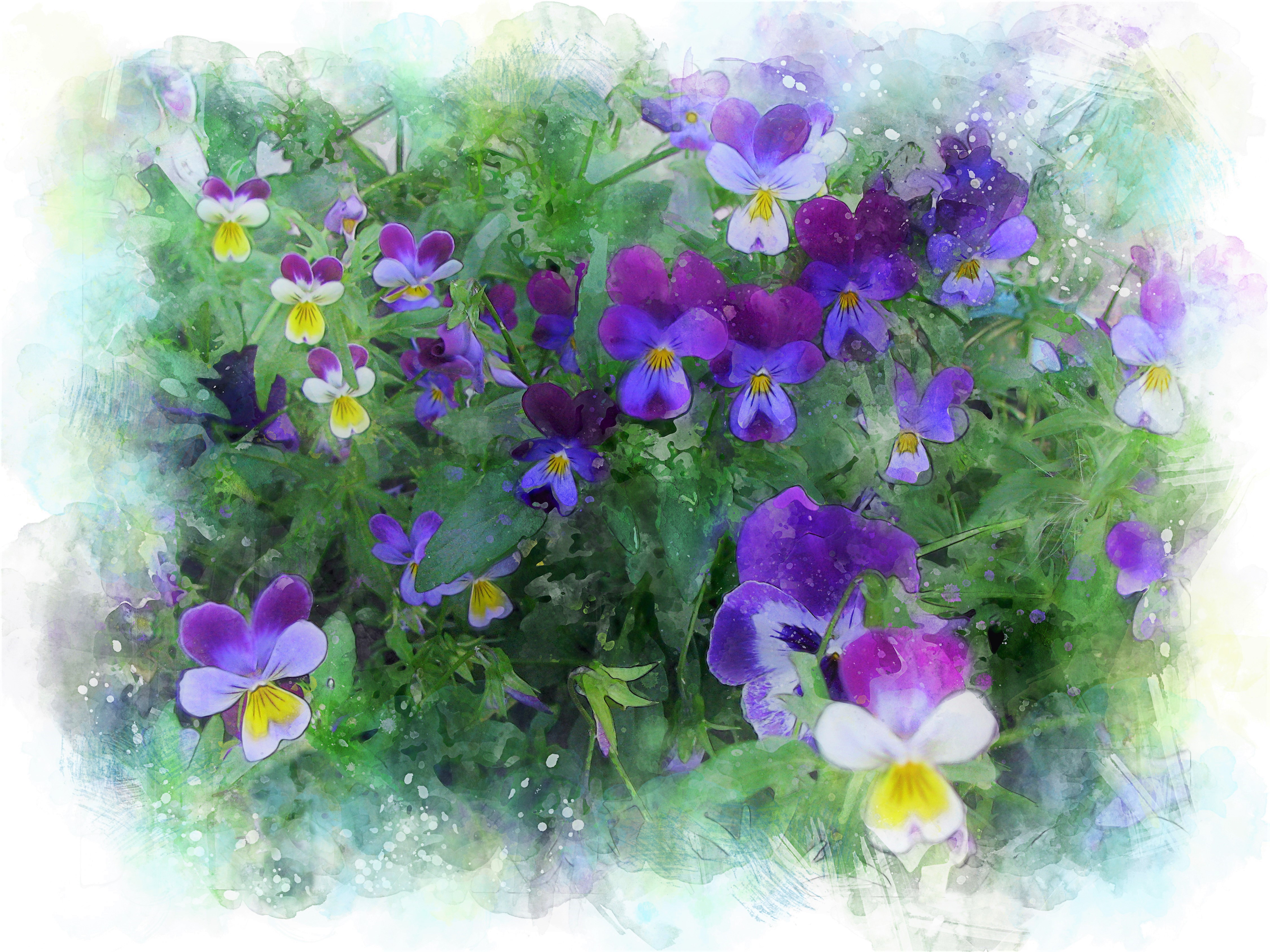 Baixe gratuitamente a imagem Flores, Natureza Morta, Flor, Artistico na área de trabalho do seu PC
