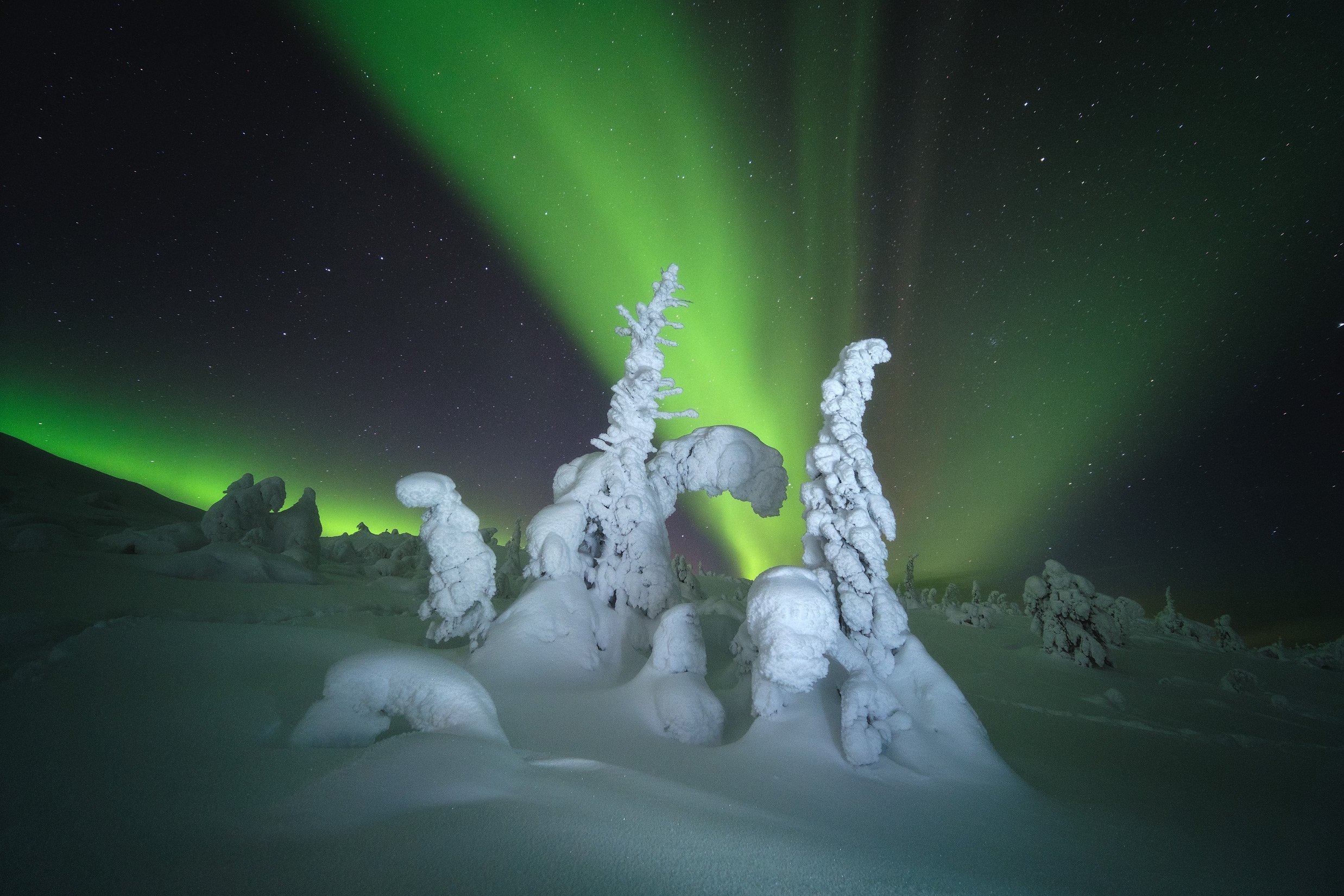 Free download wallpaper Winter, Nature, Night, Snow, Earth, Aurora Borealis on your PC desktop