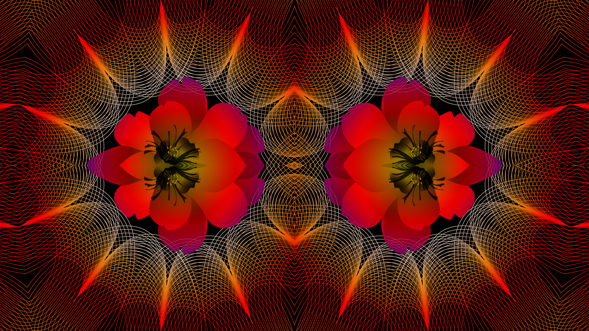Download mobile wallpaper Abstract, Flower, Colors, Kaleidoscope, Guillochis for free.
