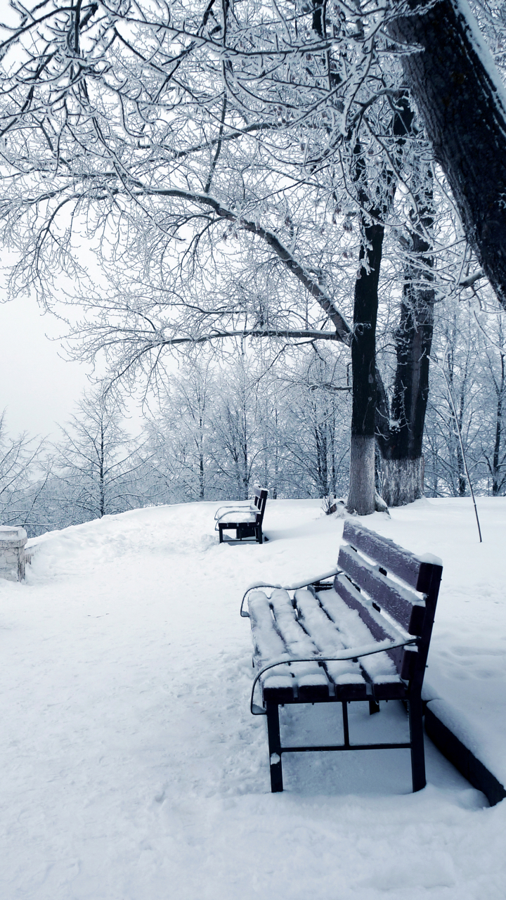 Скачать картинку Зима, Снег, Парк, Дерево, Скамья, Сделано Человеком в телефон бесплатно.